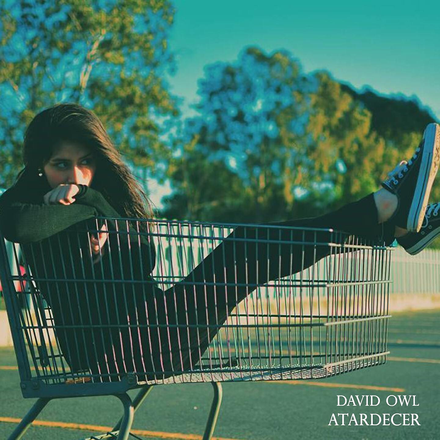 David Owl