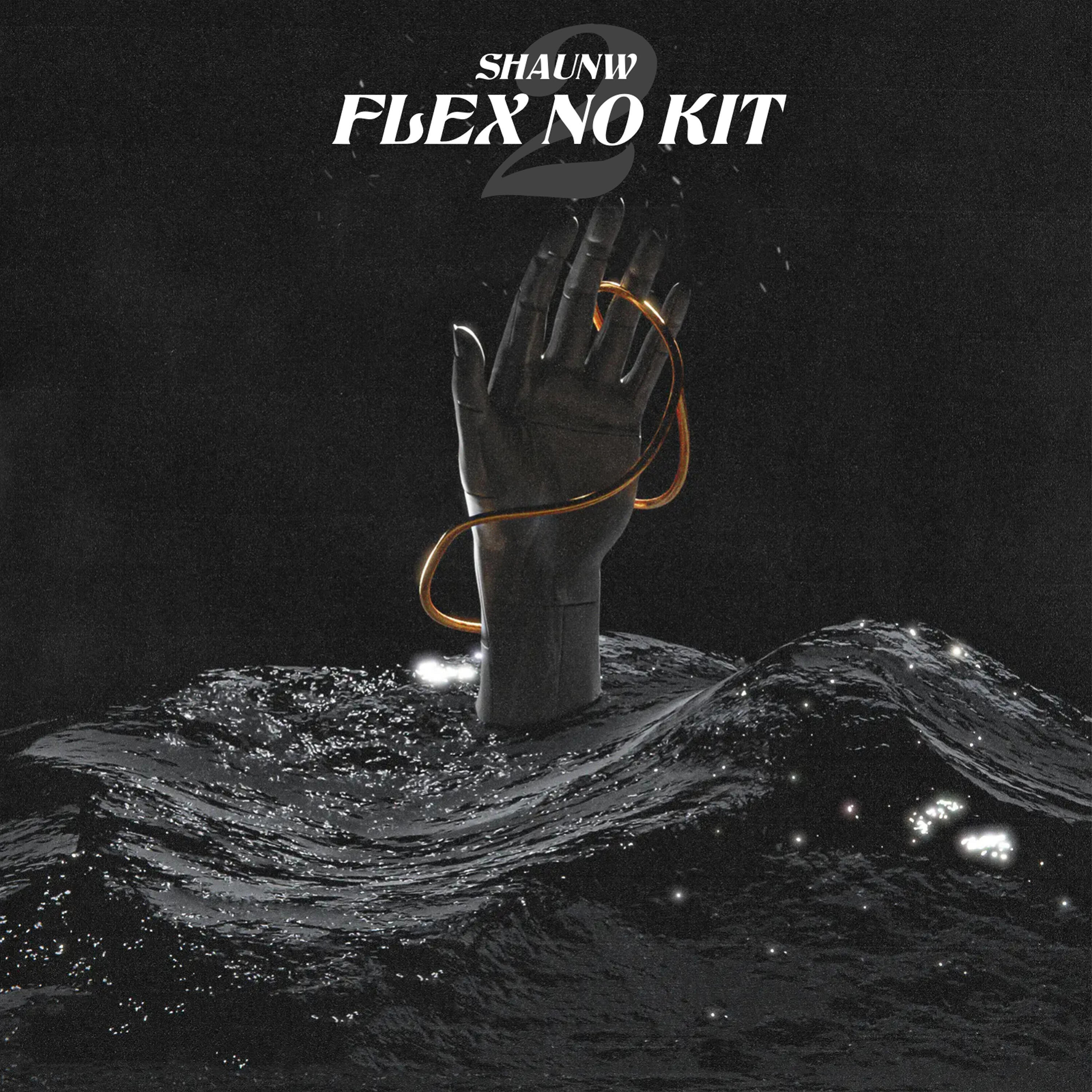 Релиз Flex no Kit 2