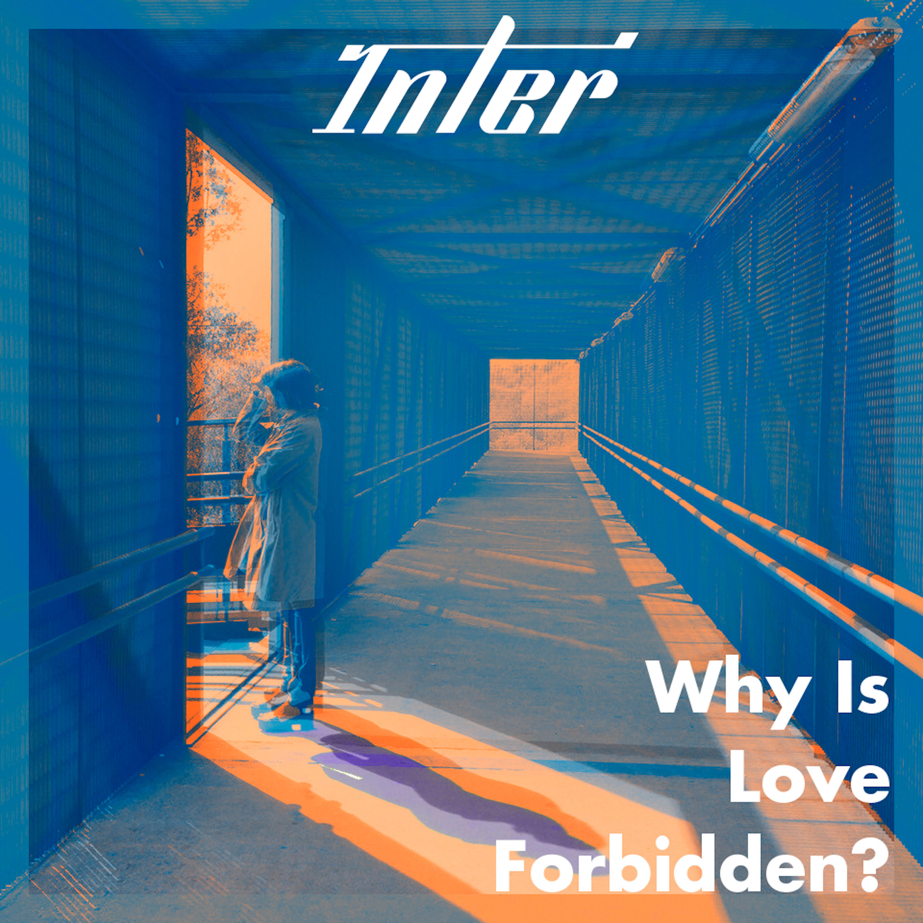 Релиз Why Is Love Forbidden?