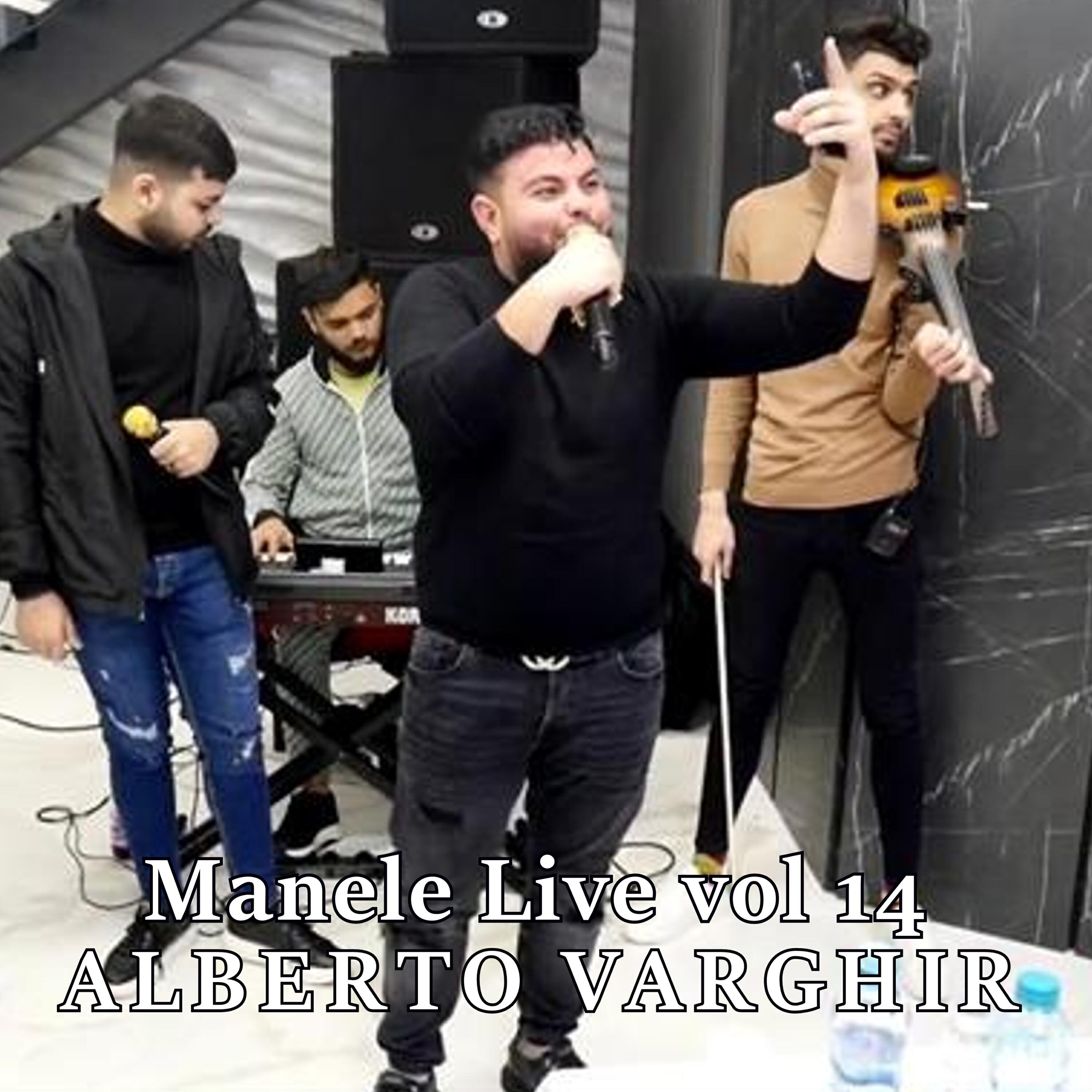 Релиз Manele, Vol. 14