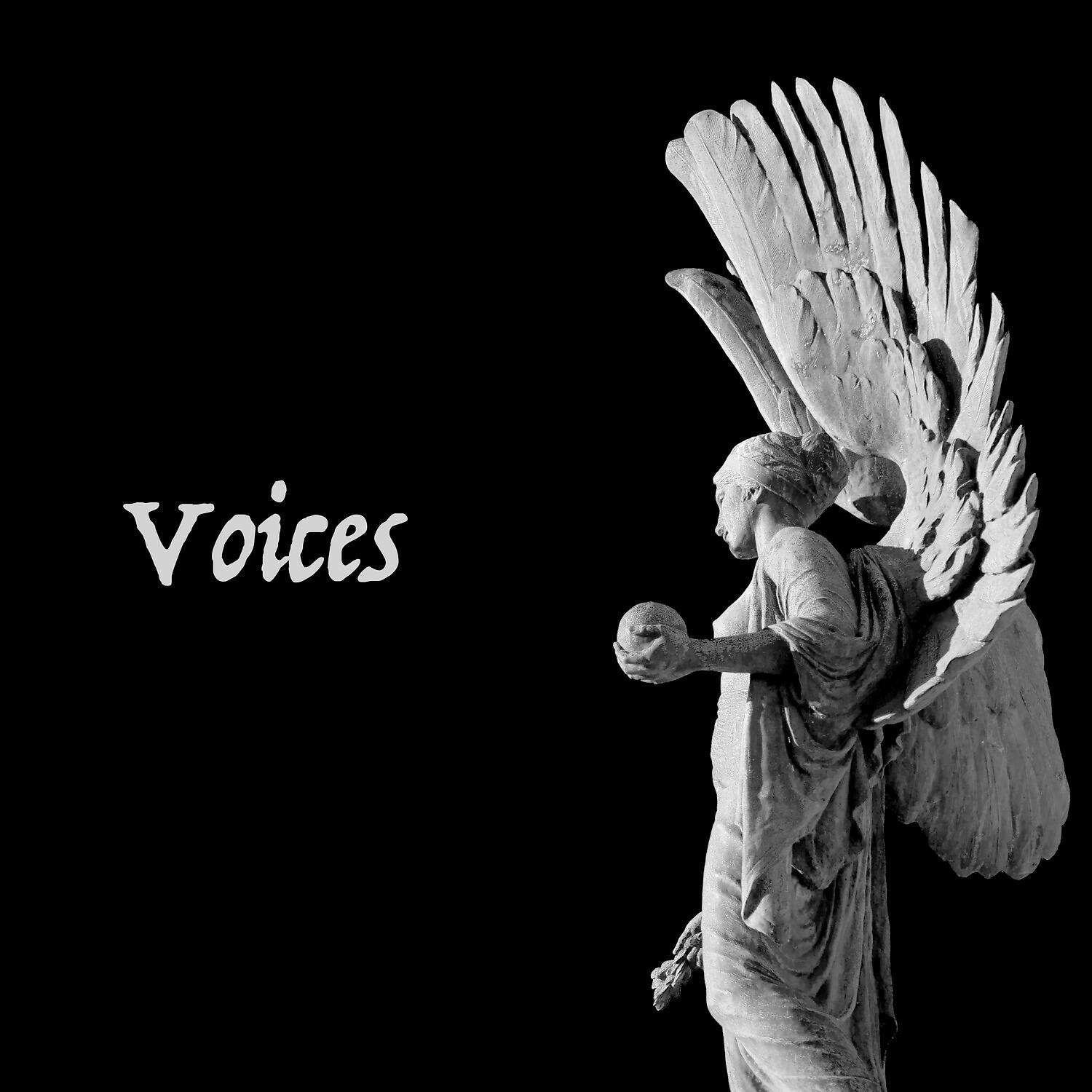 Релиз Voices