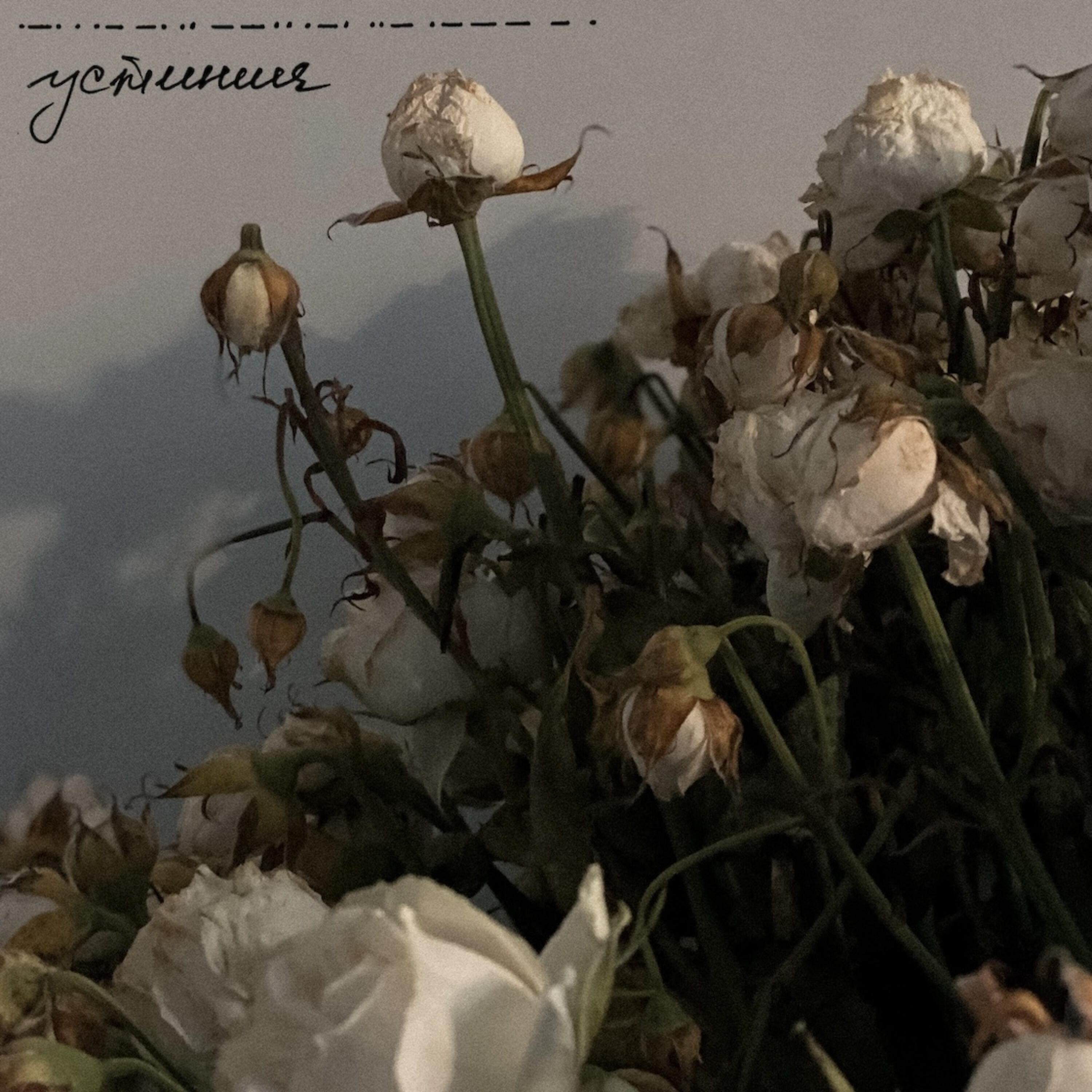Релиз Реанимируйте