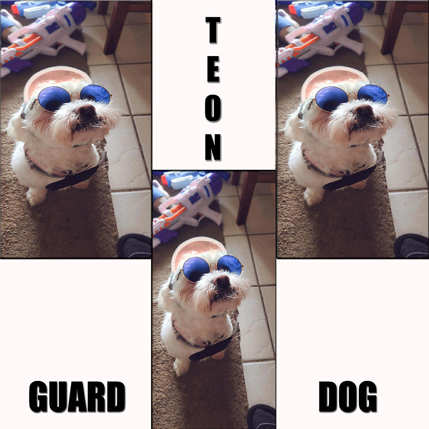 Релиз Guard Dog