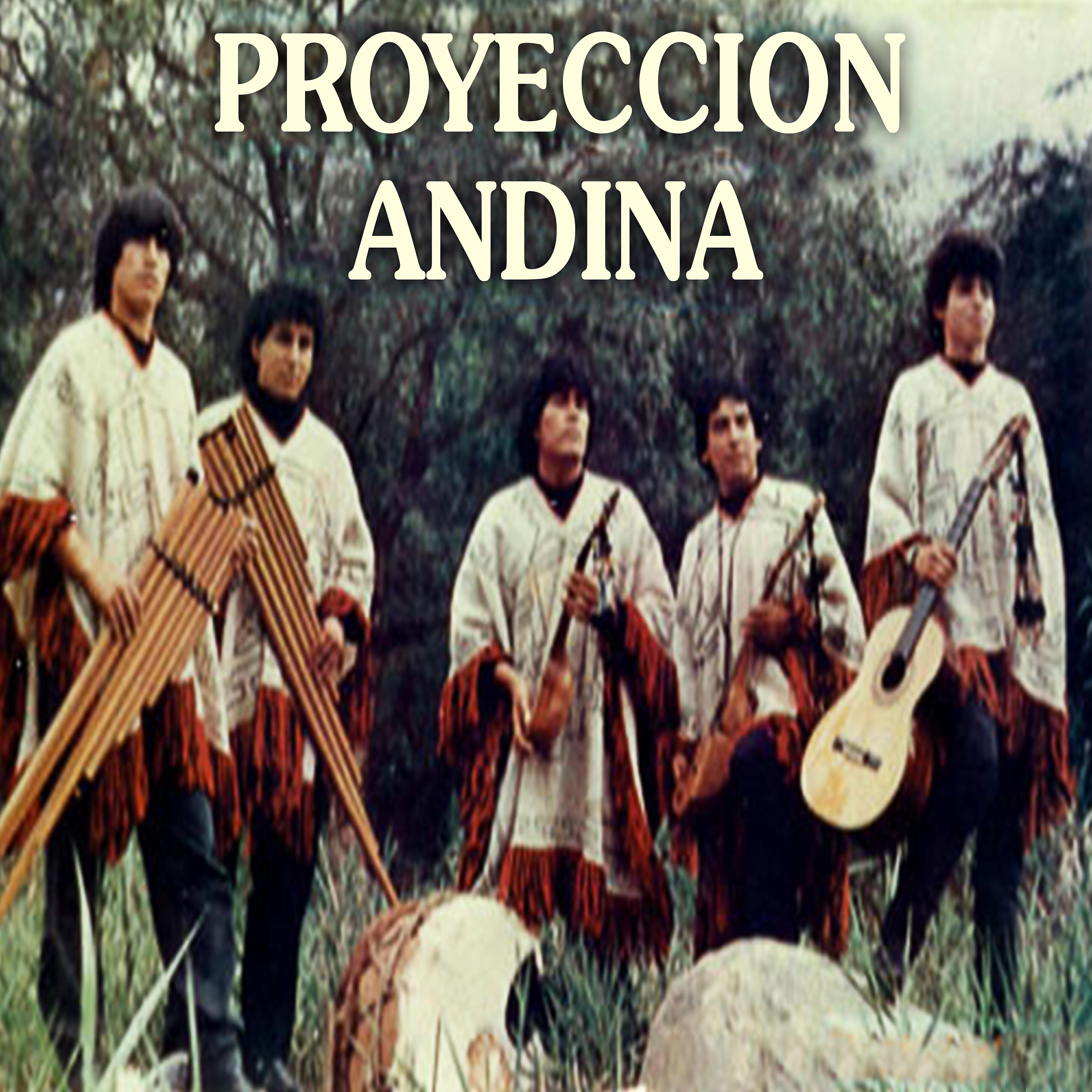 Proyección Andina