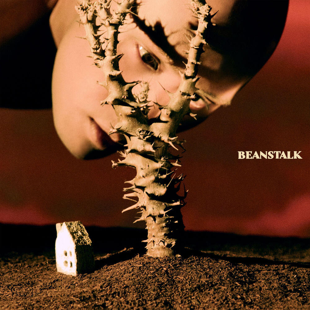 Релиз BEANSTALK