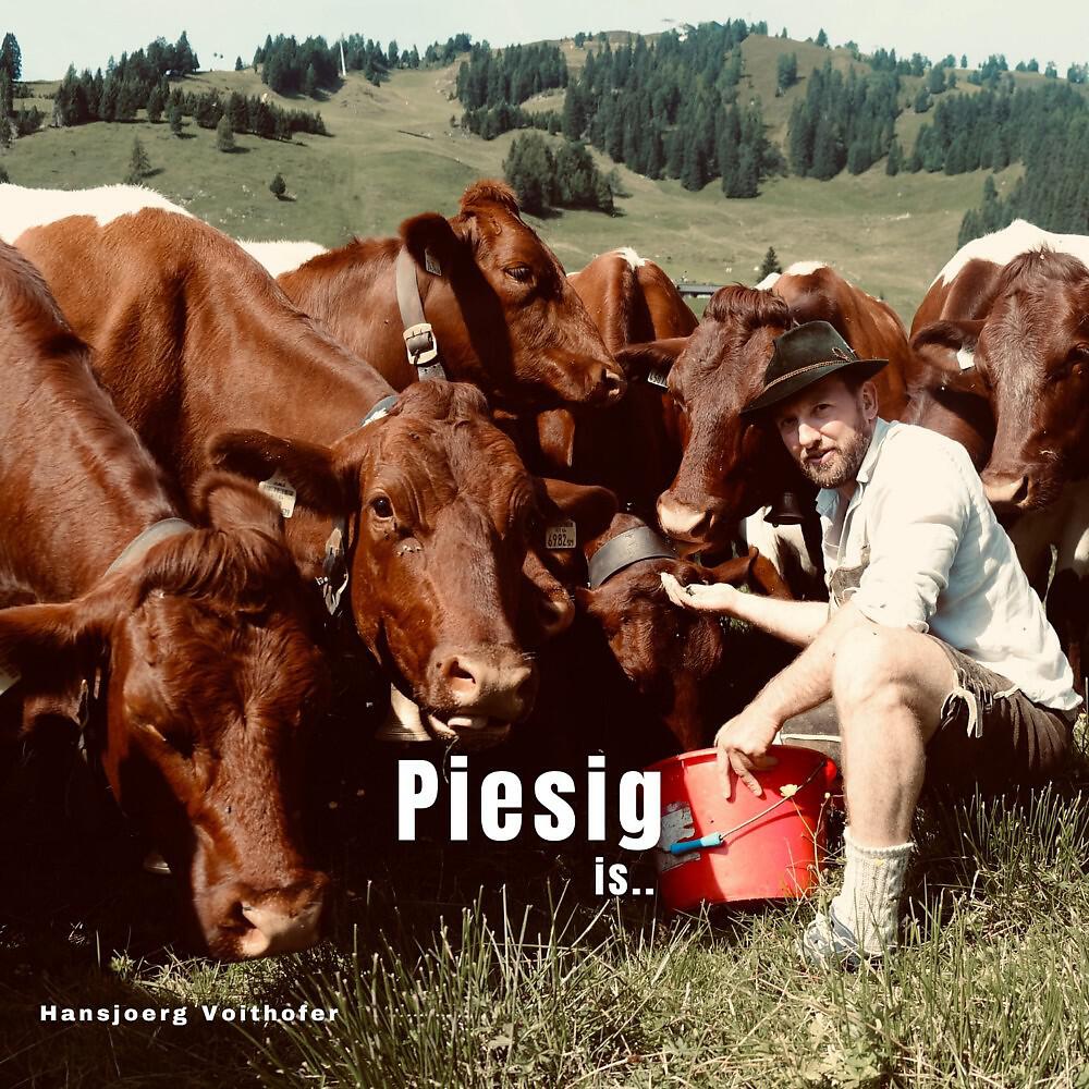 Релиз Piesig is