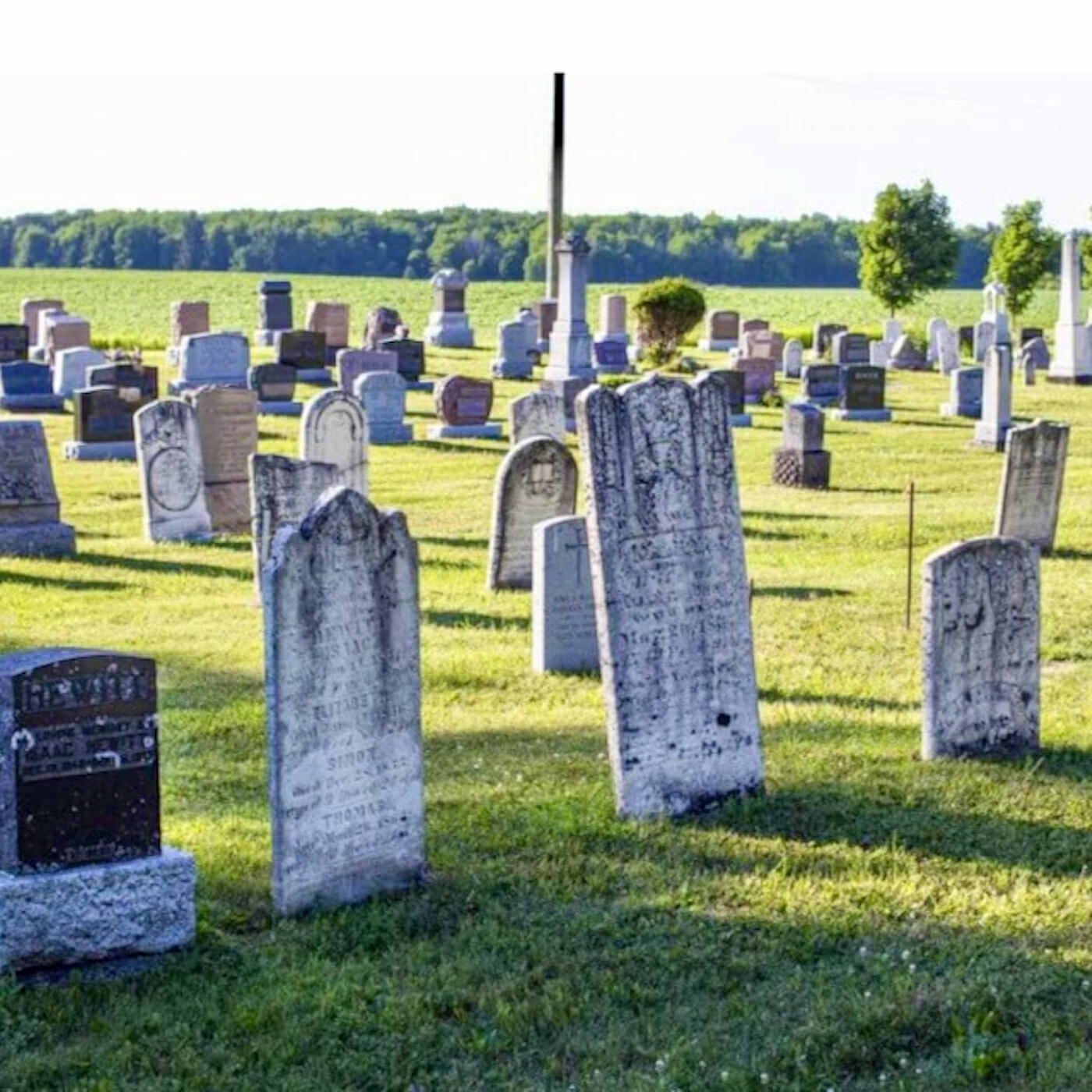 Релиз Too Damn Many Funerals