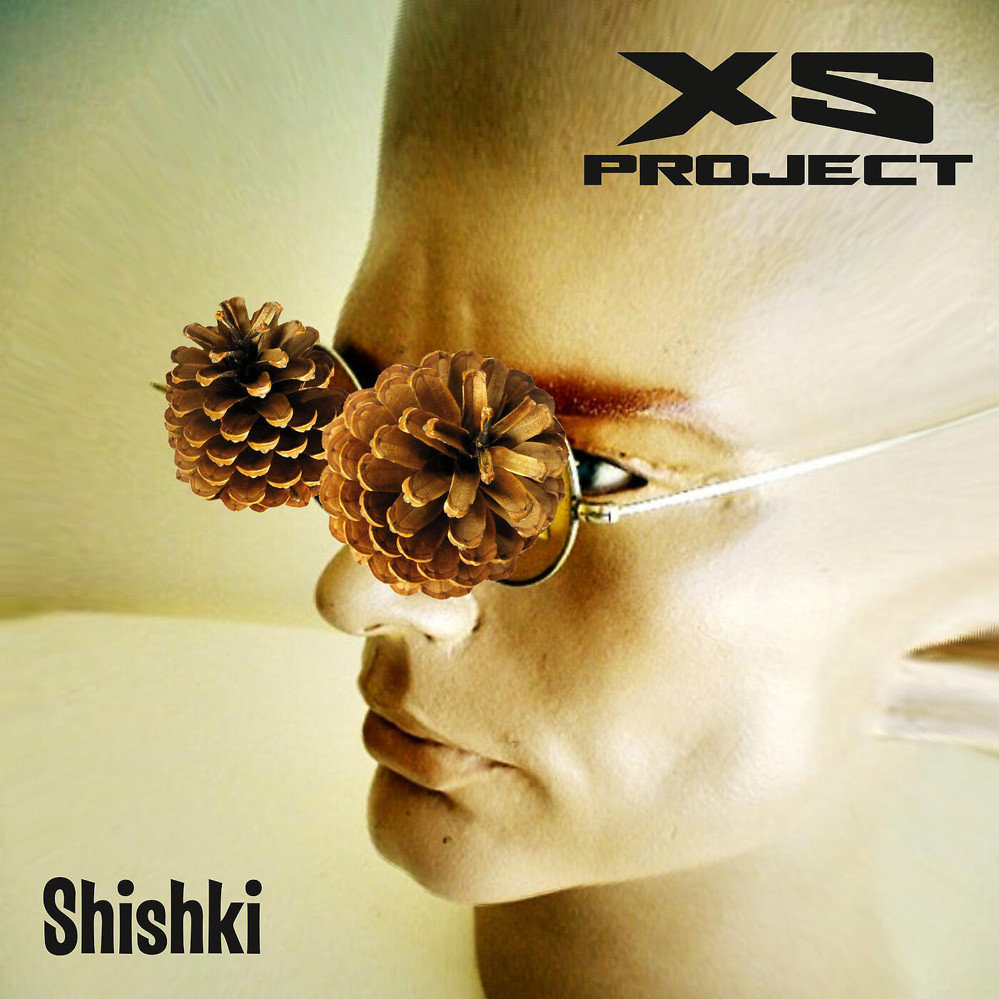 Релиз Shishki