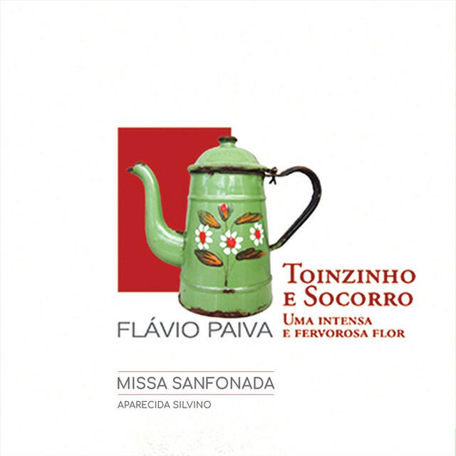 Aparecida Silvino