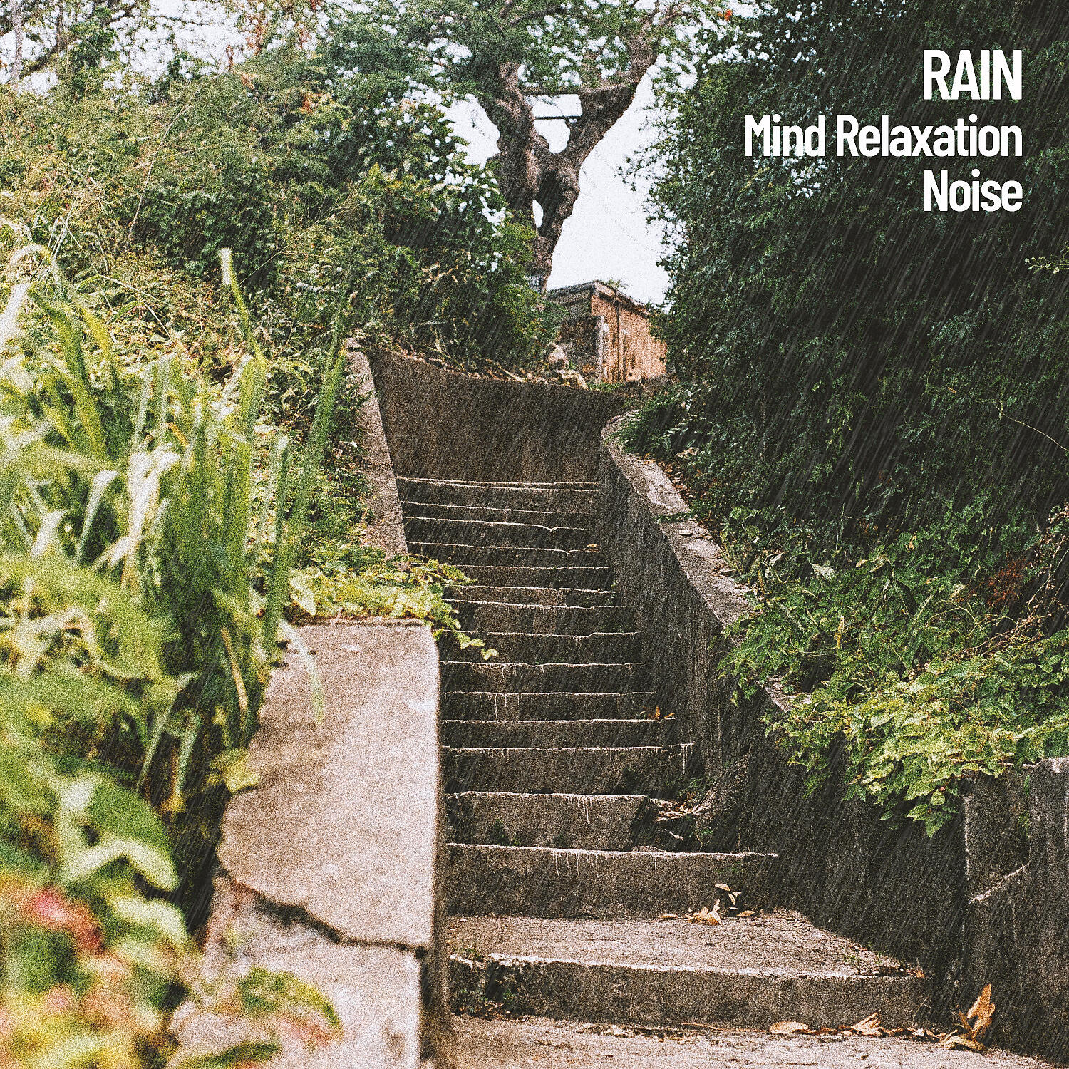 Релиз Rain: Mind Relaxation Noise
