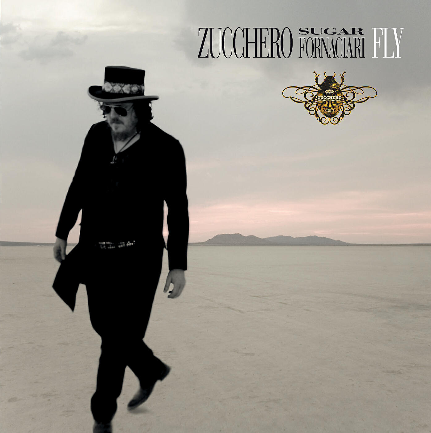 Релиз Fly