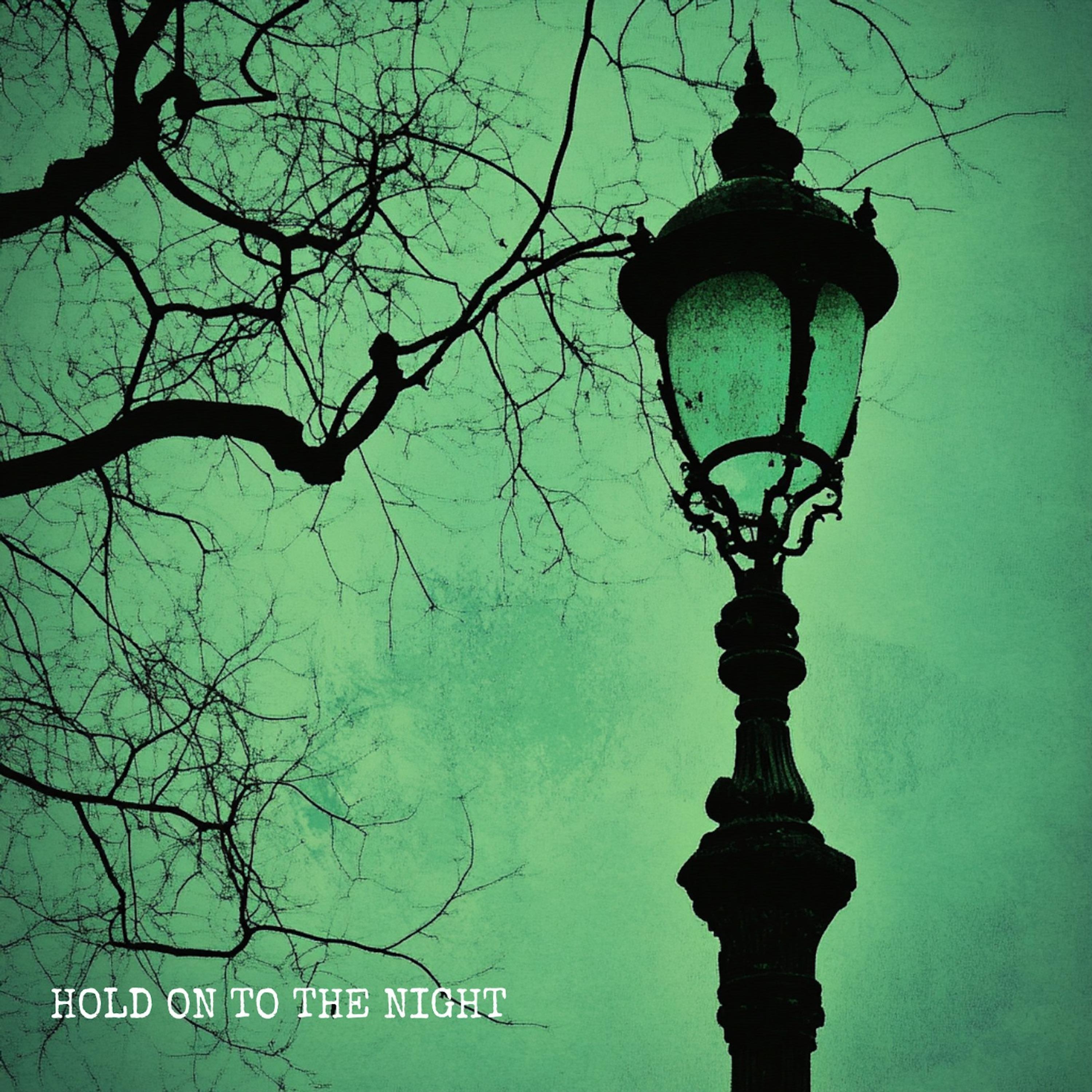 Релиз Hold On to the Night