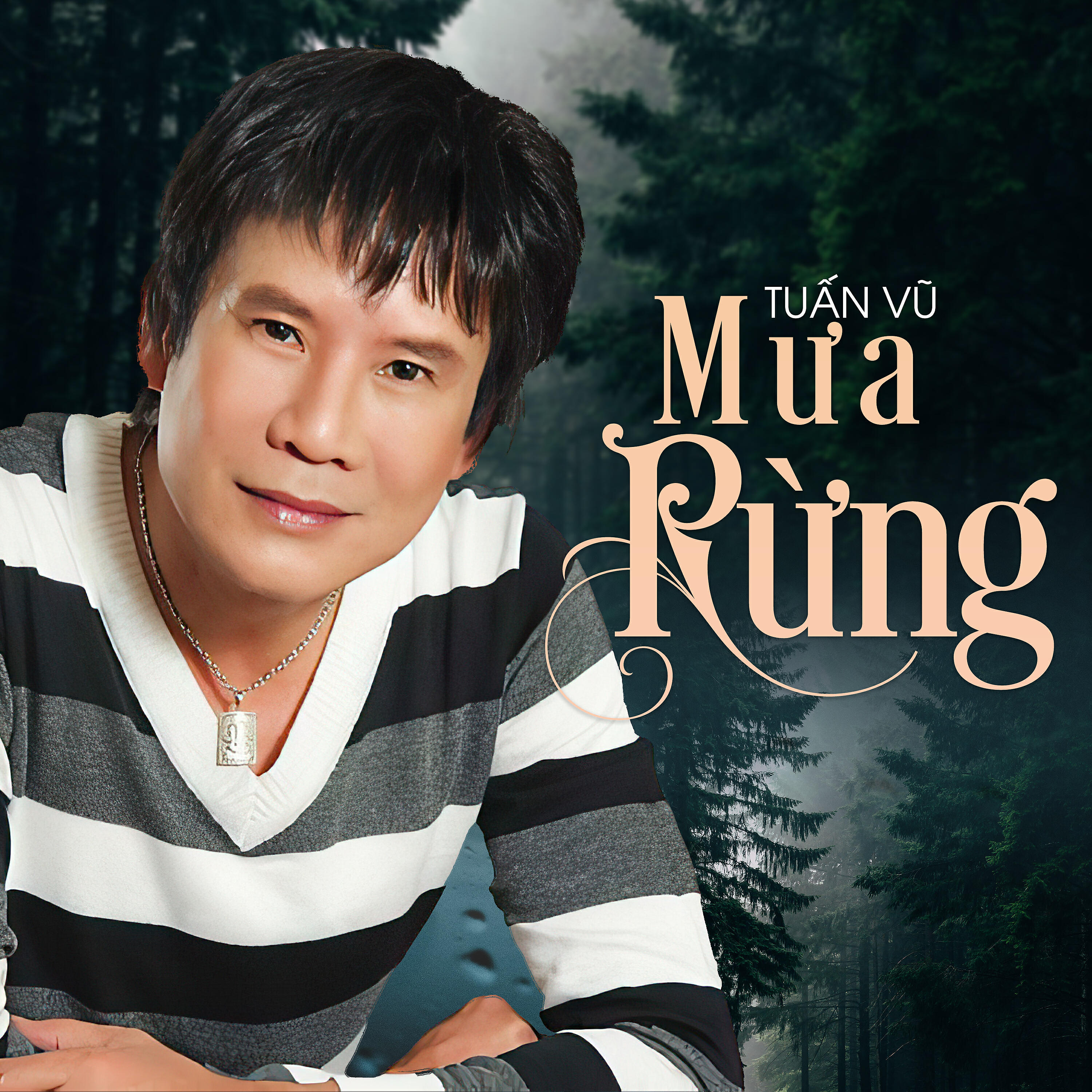 Релиз Mưa Rừng