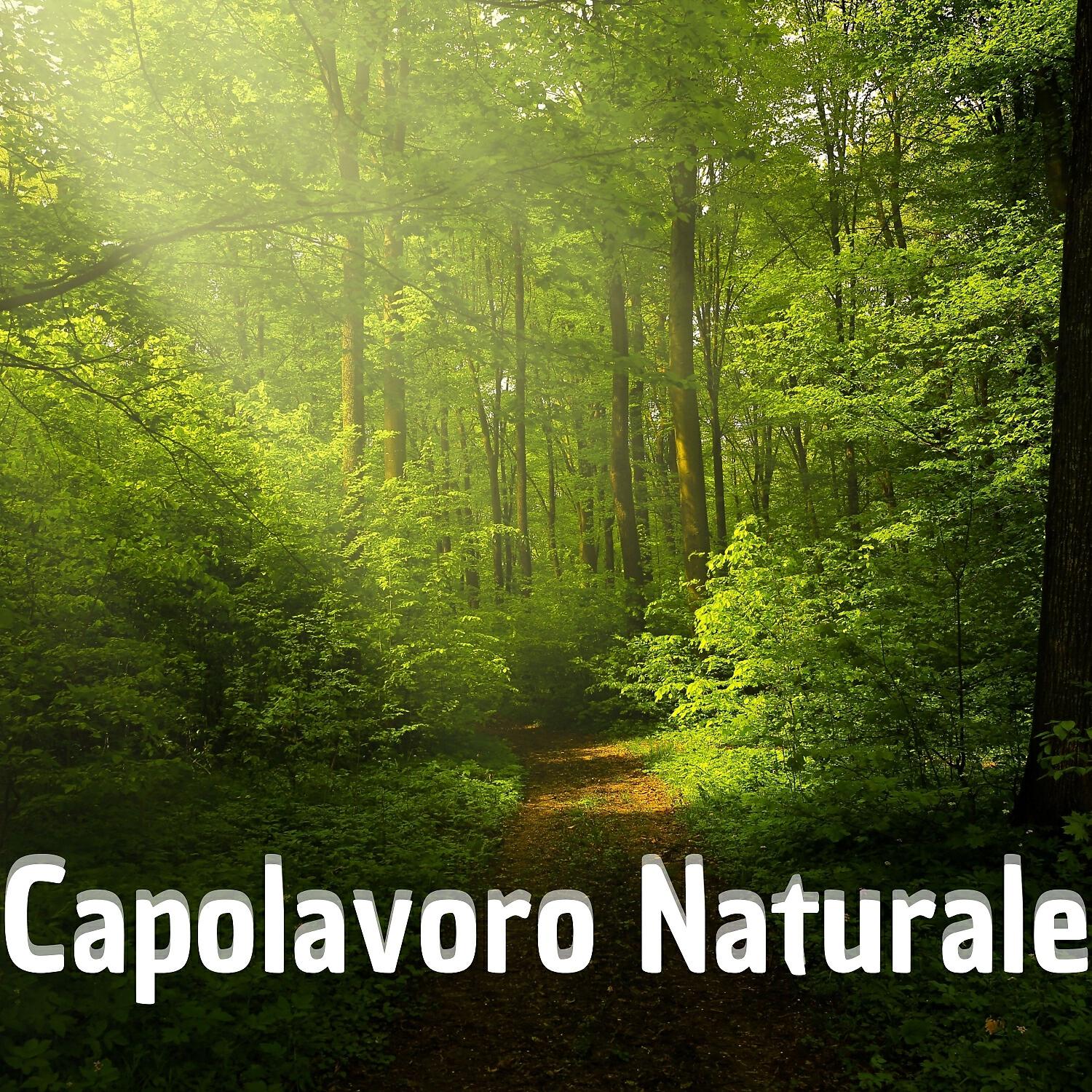 Релиз Capolavoro Naturale