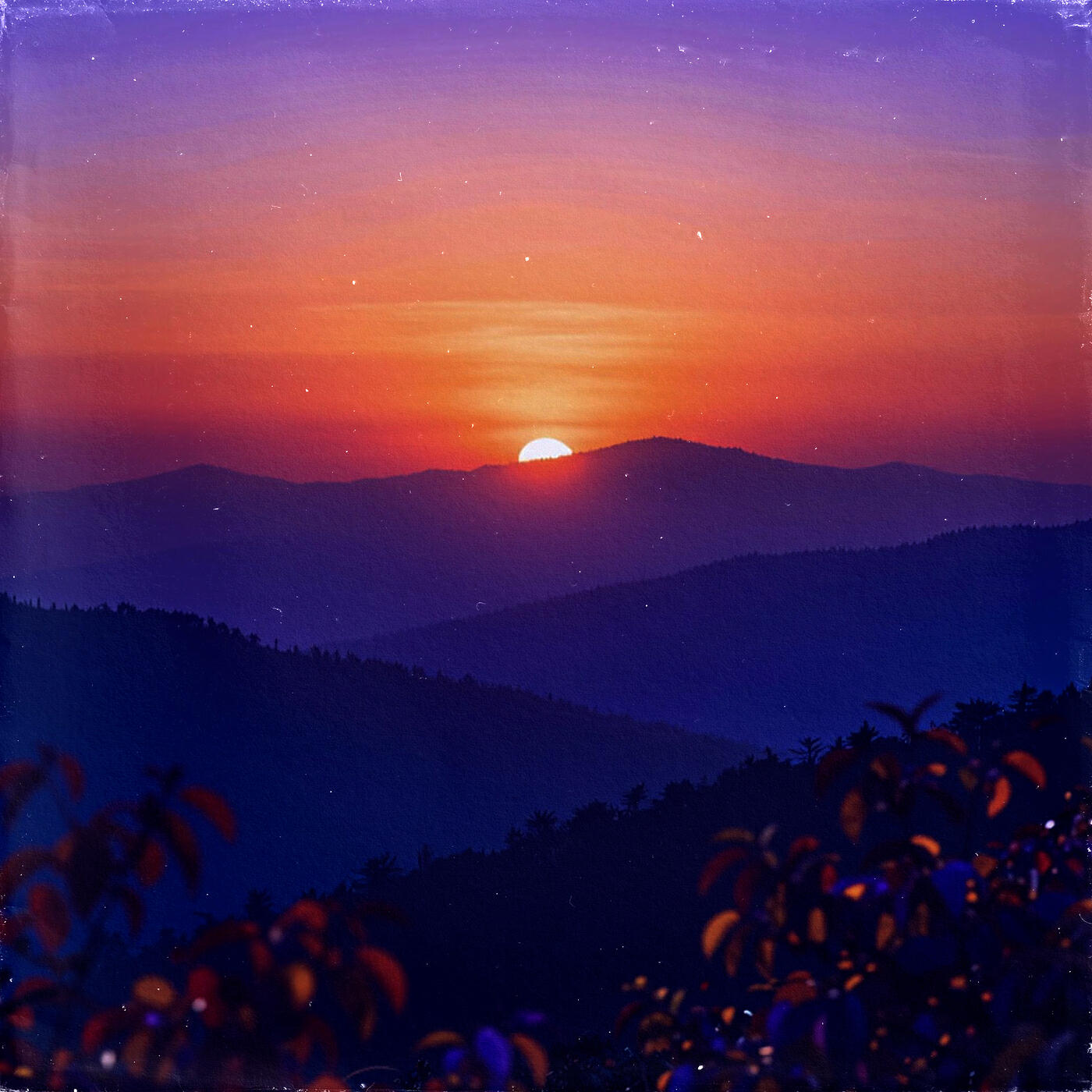 Релиз Bokeh