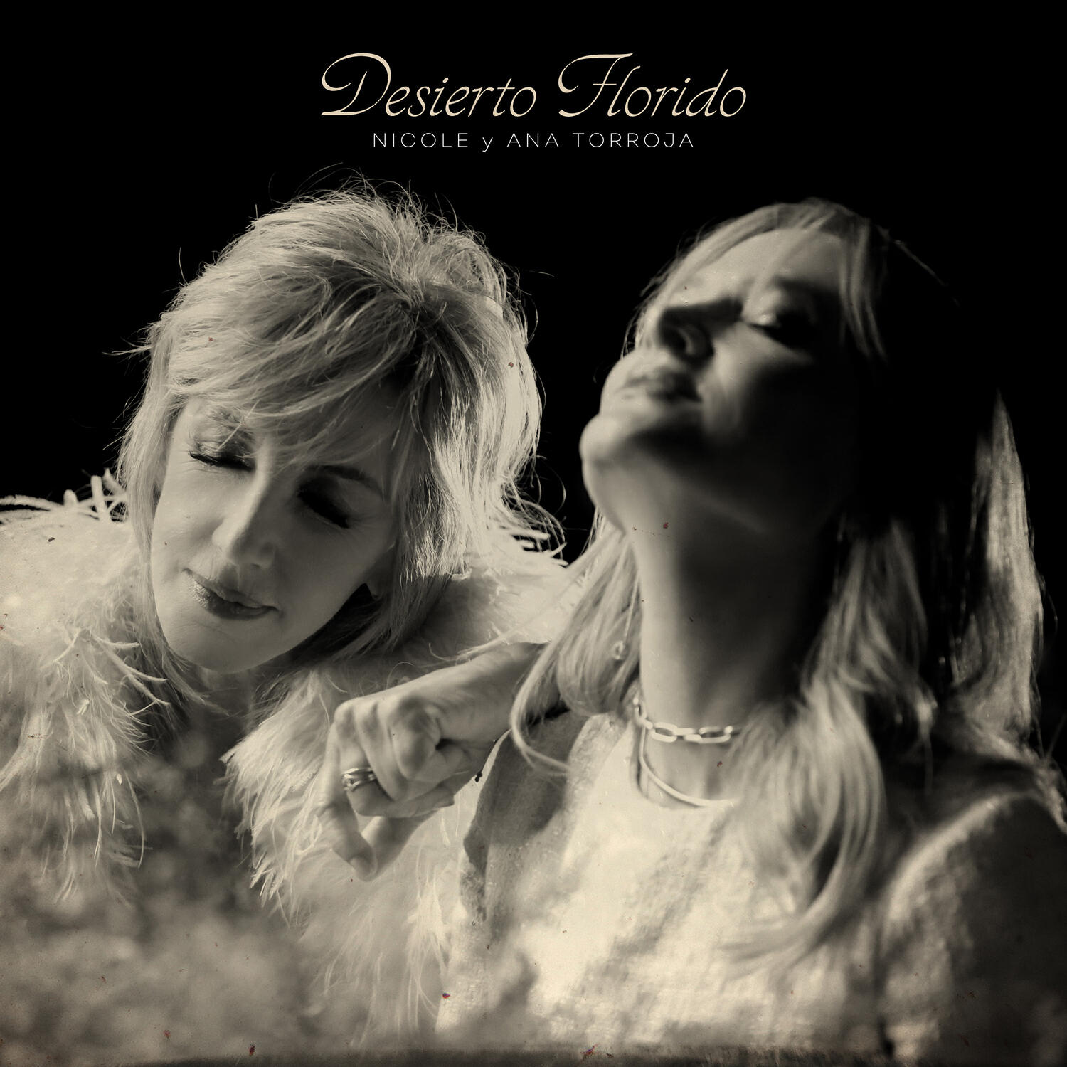 Релиз Desierto Florido