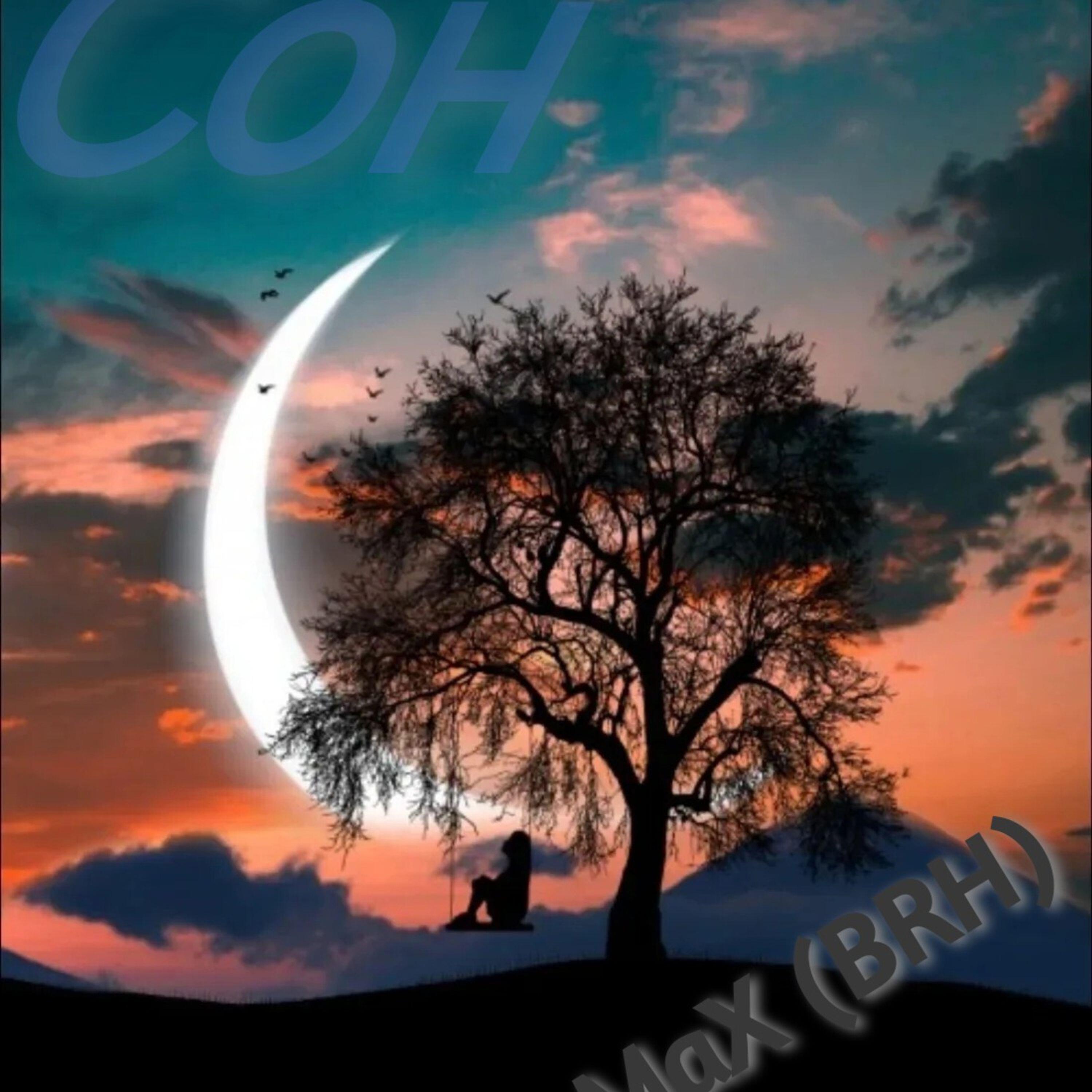 Релиз Сон