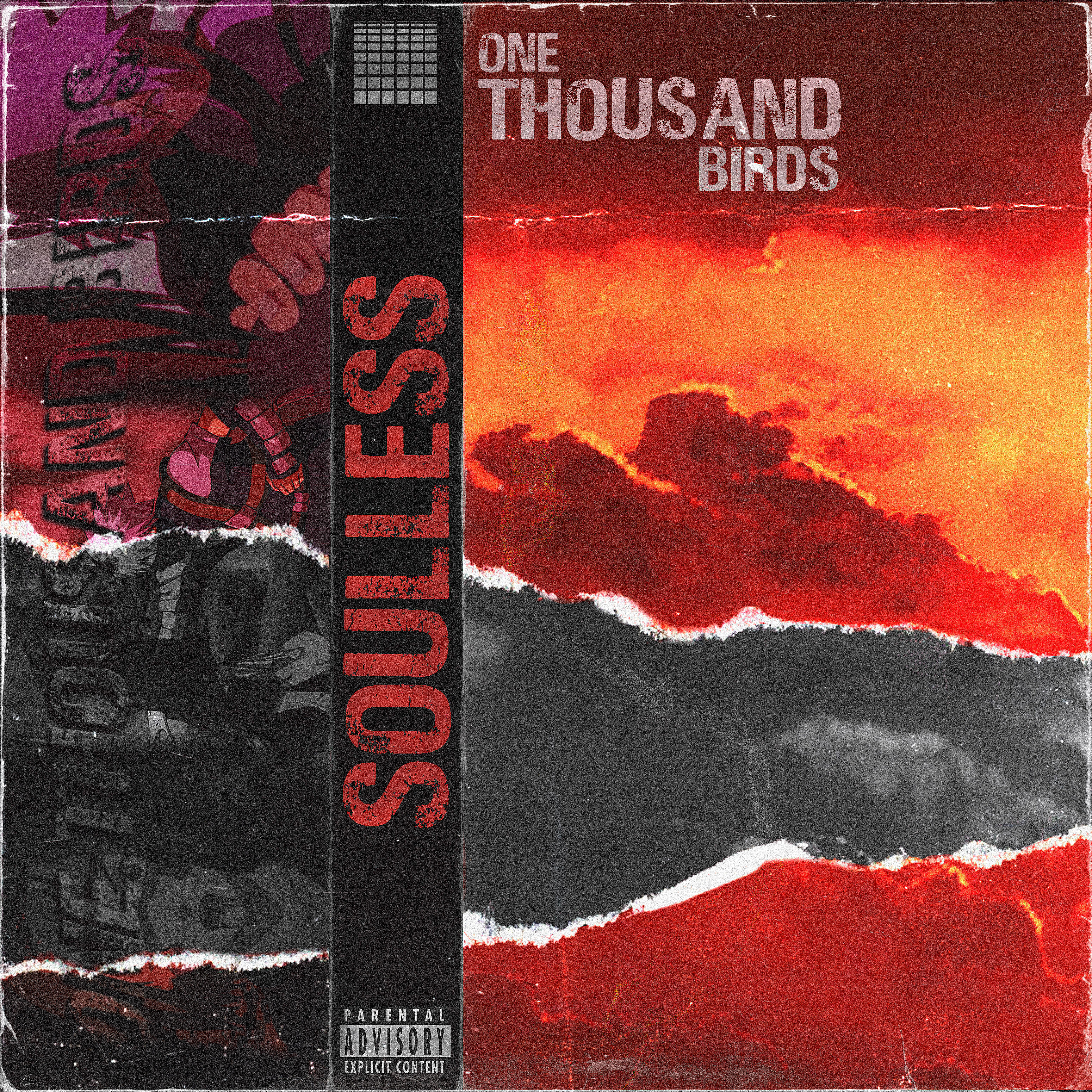 Релиз One Thousand Birds