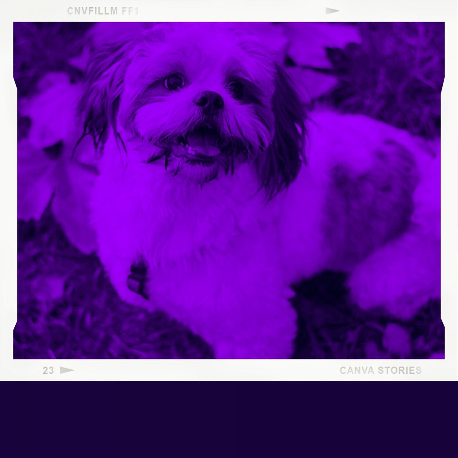 Релиз Warm Guitar Music - Background for Resting Pups