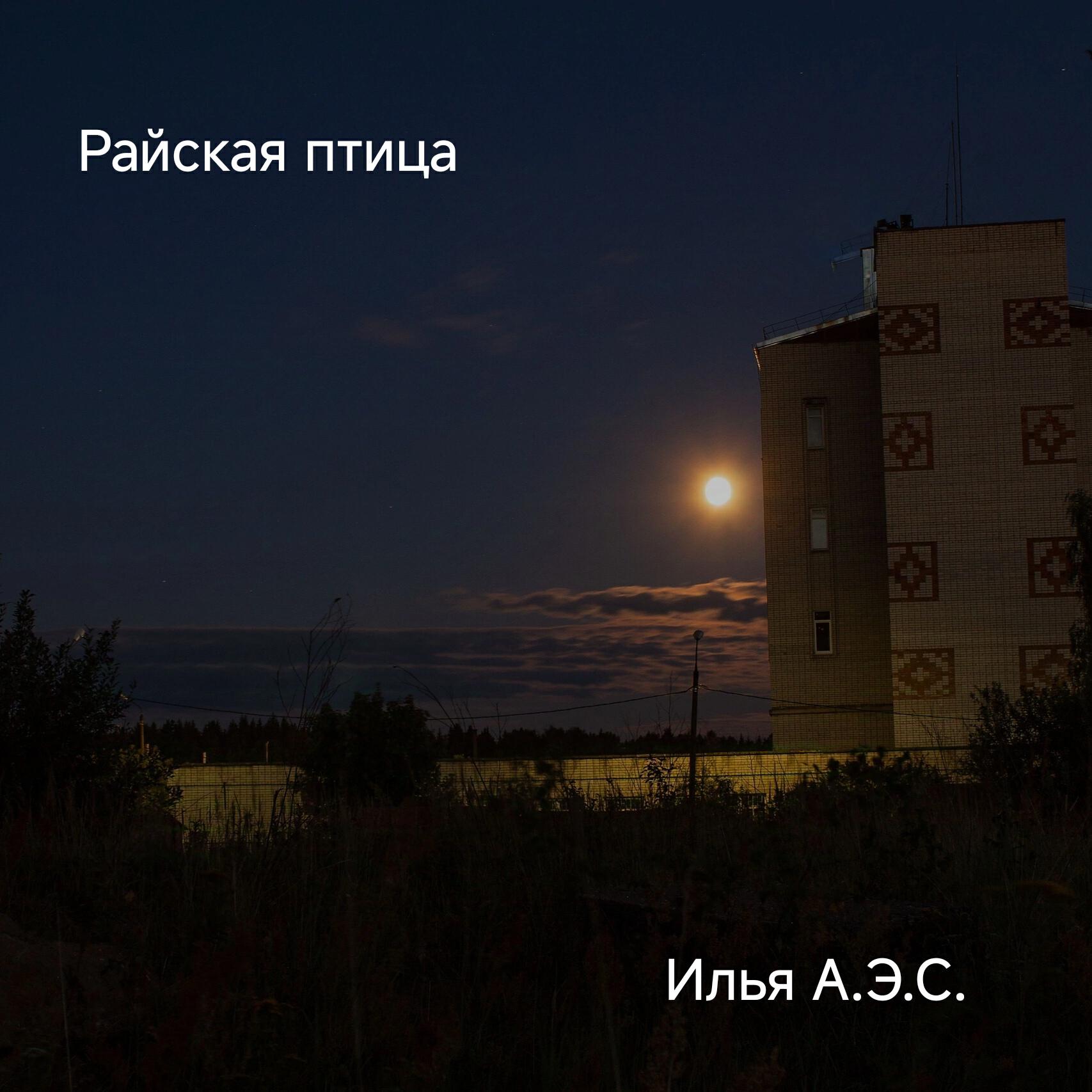 Релиз Райская птица