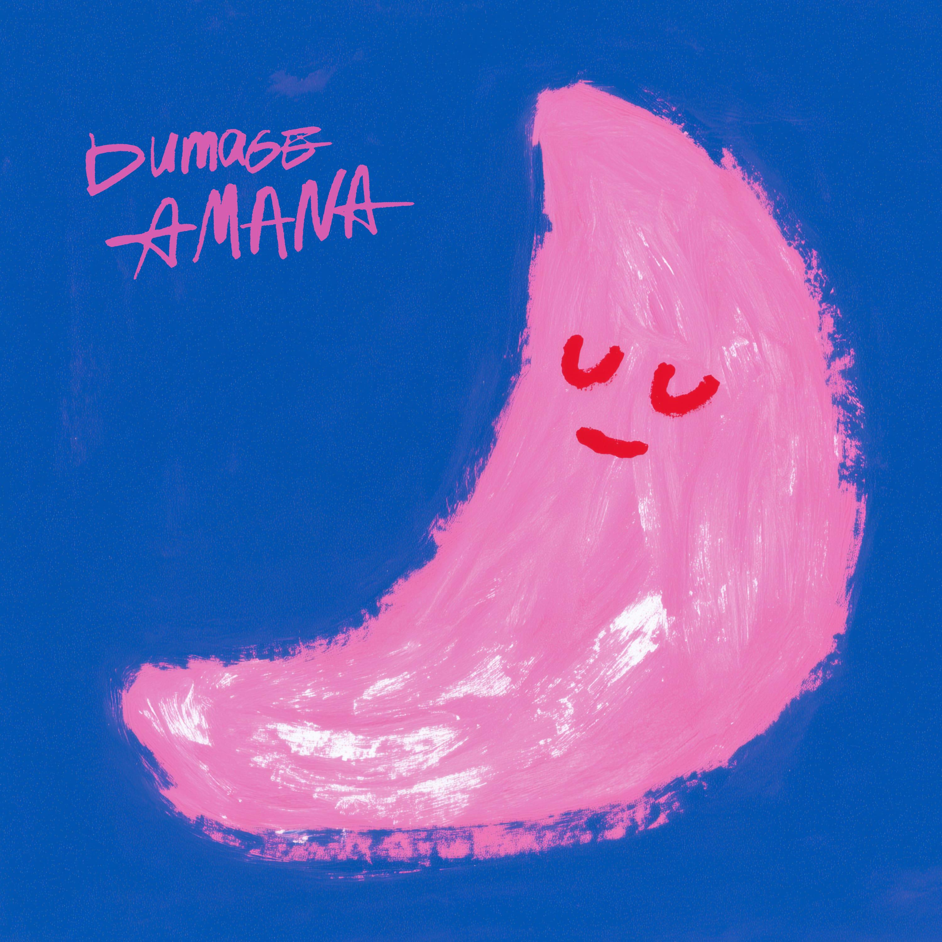 Релиз Amana