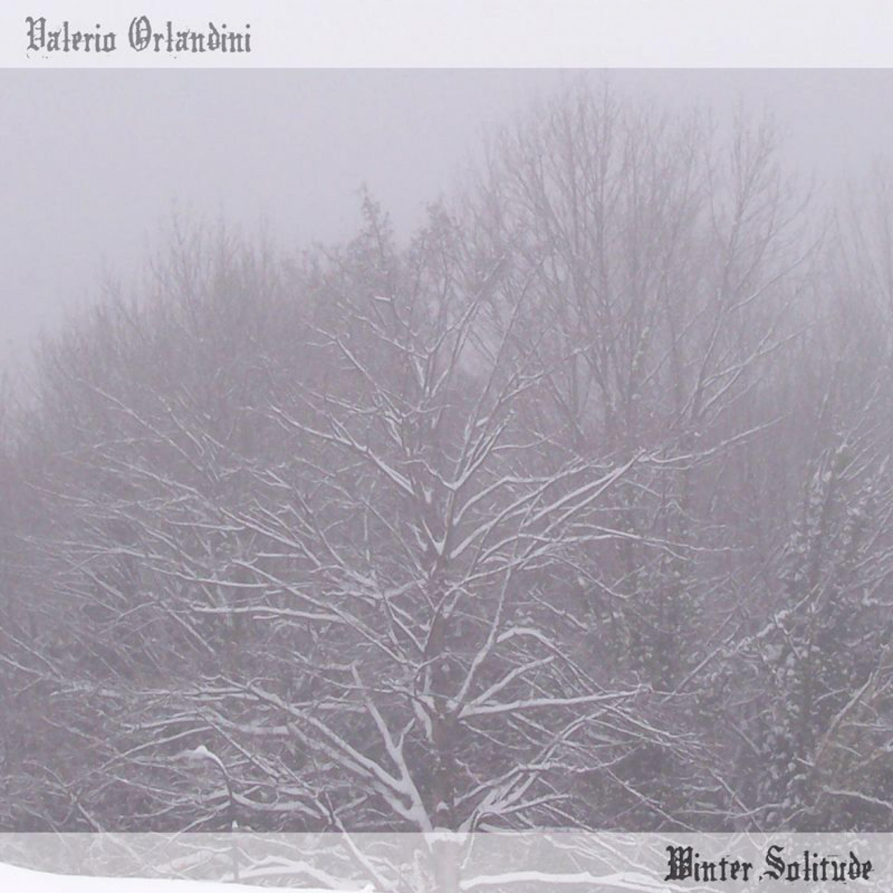 Релиз Winter Solitude