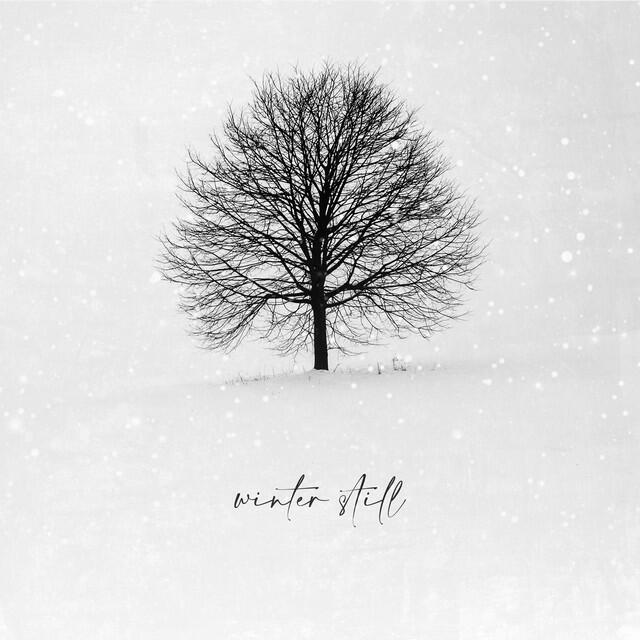 Релиз Winter Still