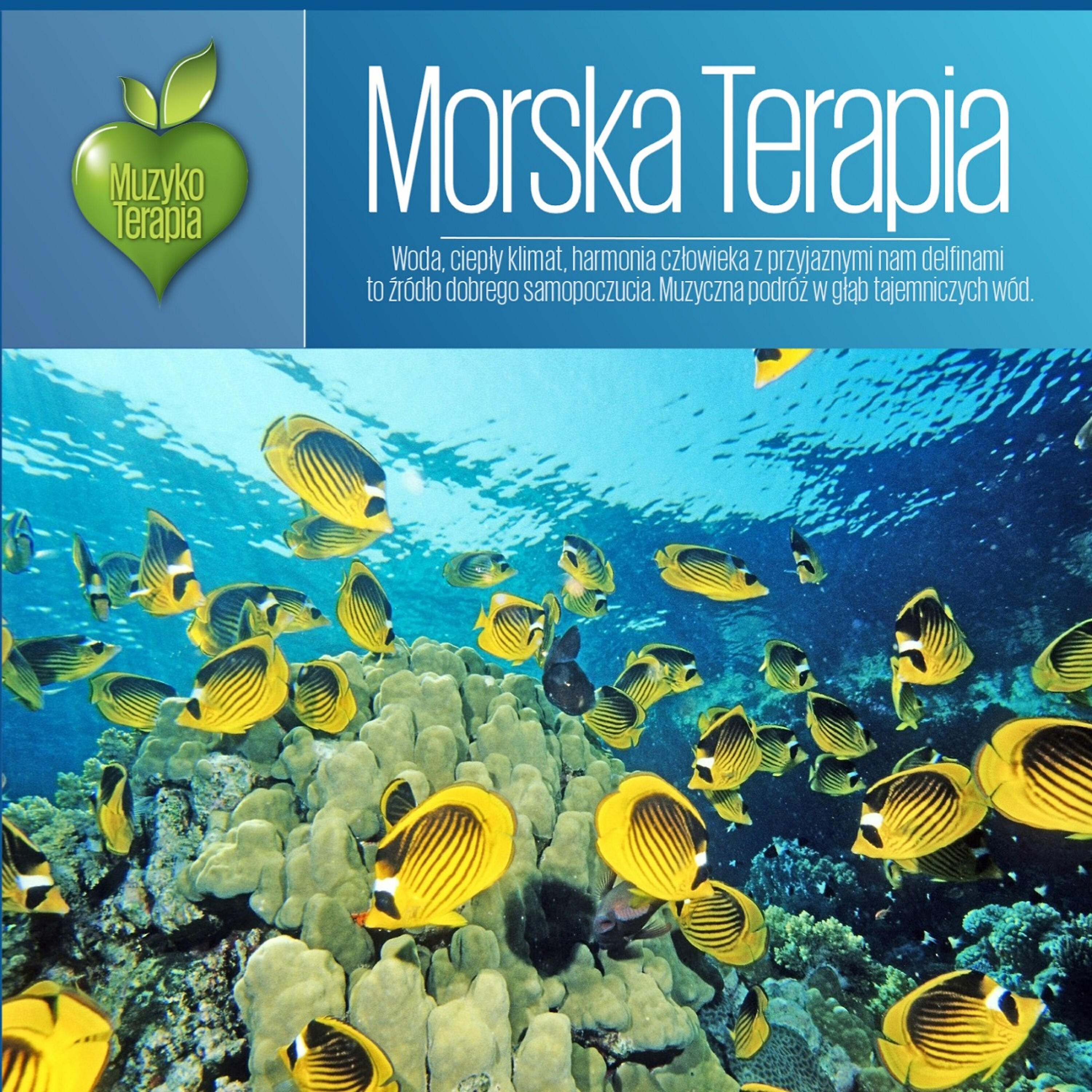 Релиз Morska Terapia. MusicTherapy - Marine Therapy