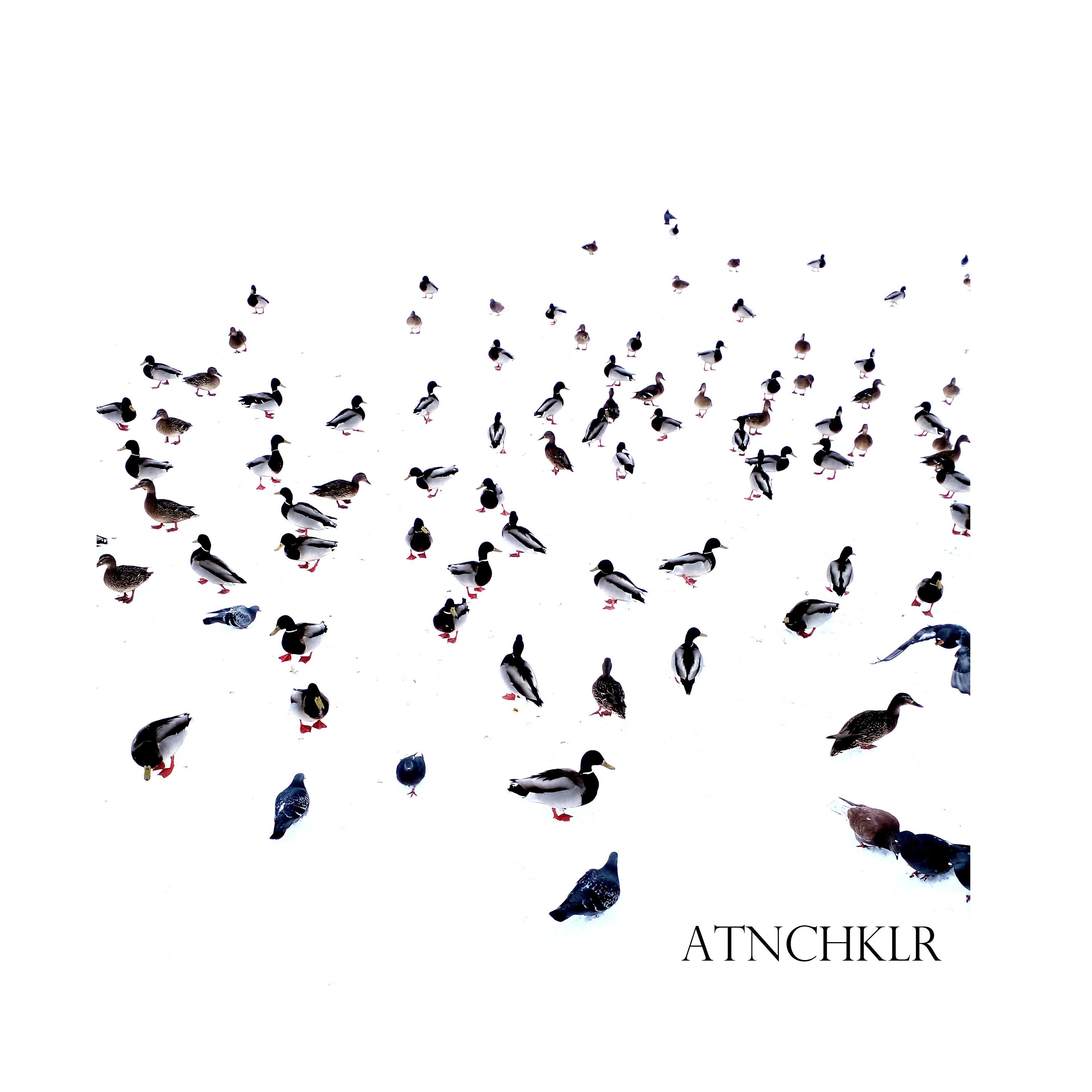 Релиз ATNCHKLR