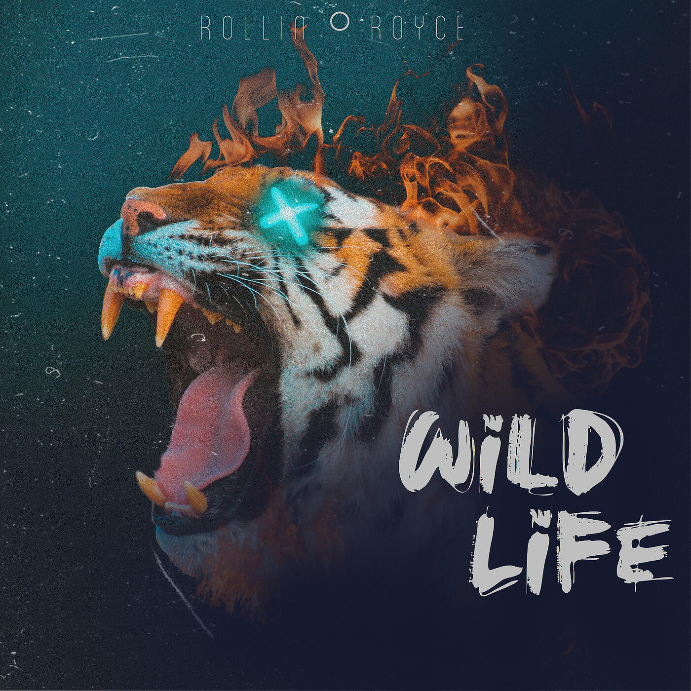 Релиз Wildlife