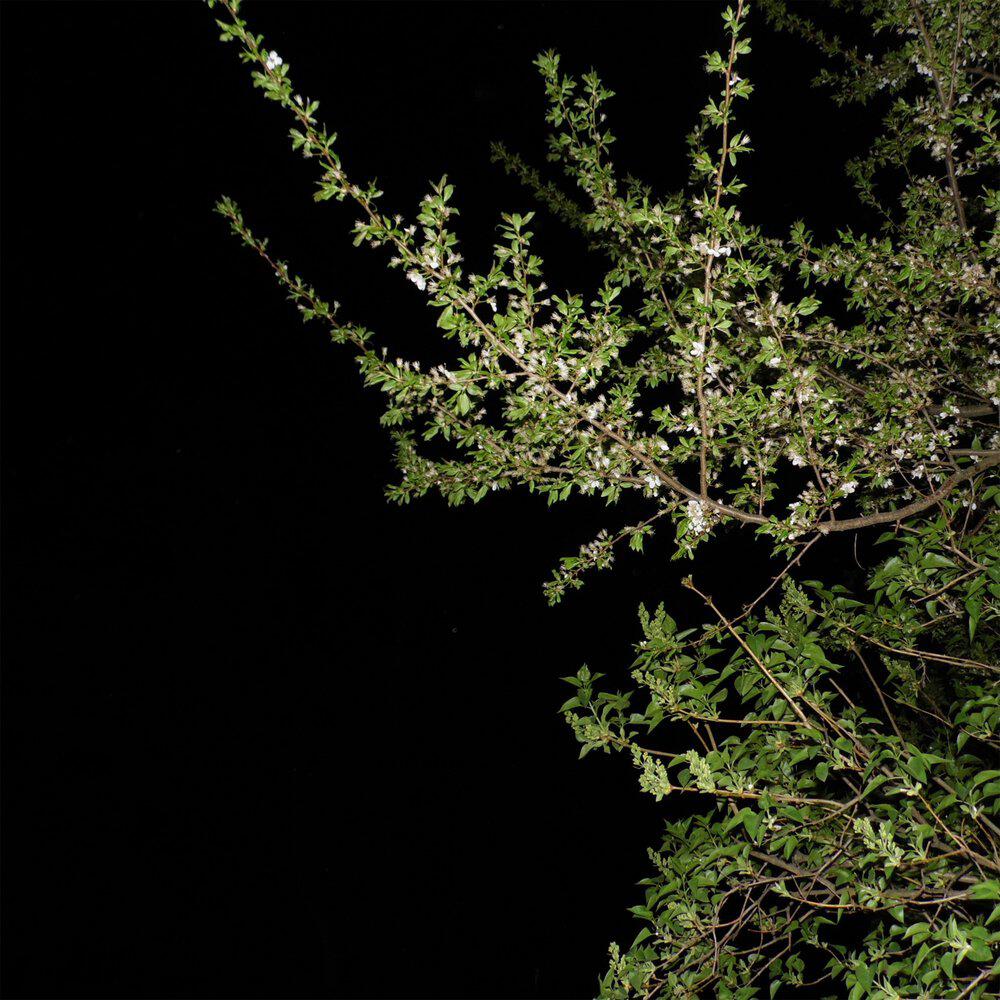 Релиз nothing after