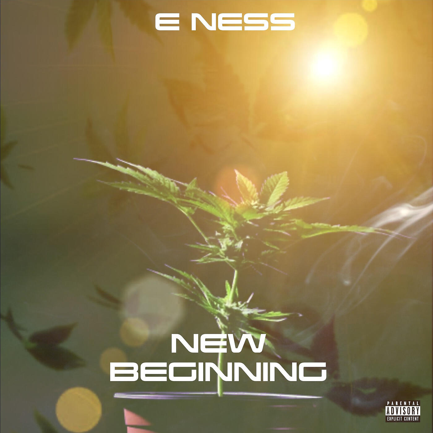 Релиз New Beginning