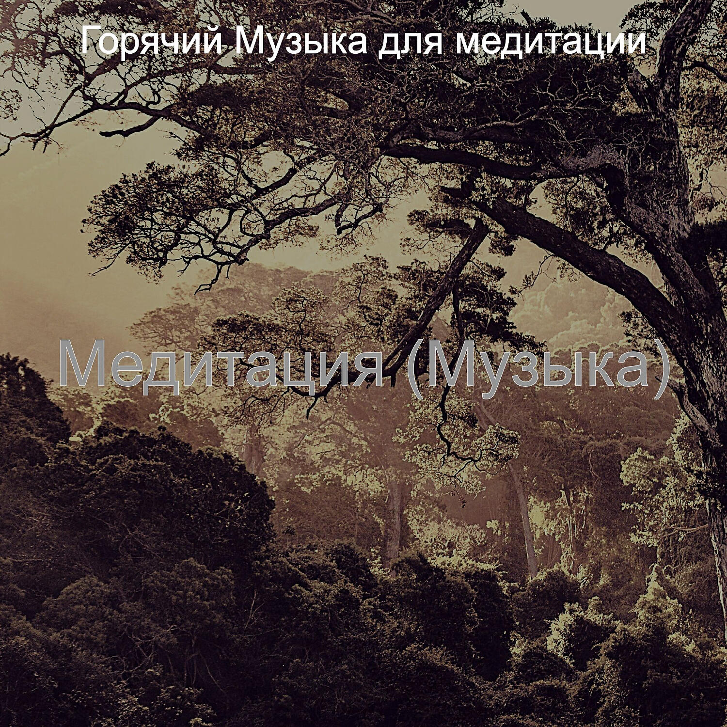 Релиз Медитация (Музыка)