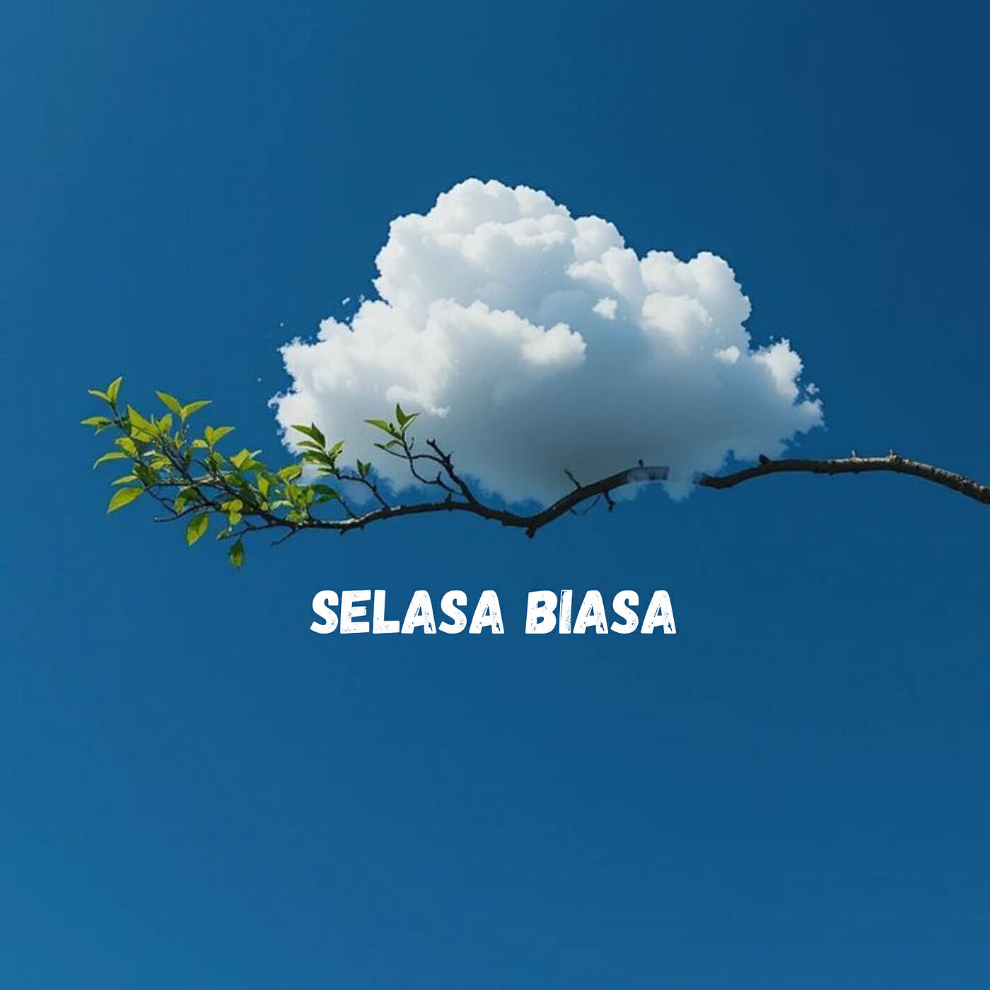 Релиз Selasa Biasa
