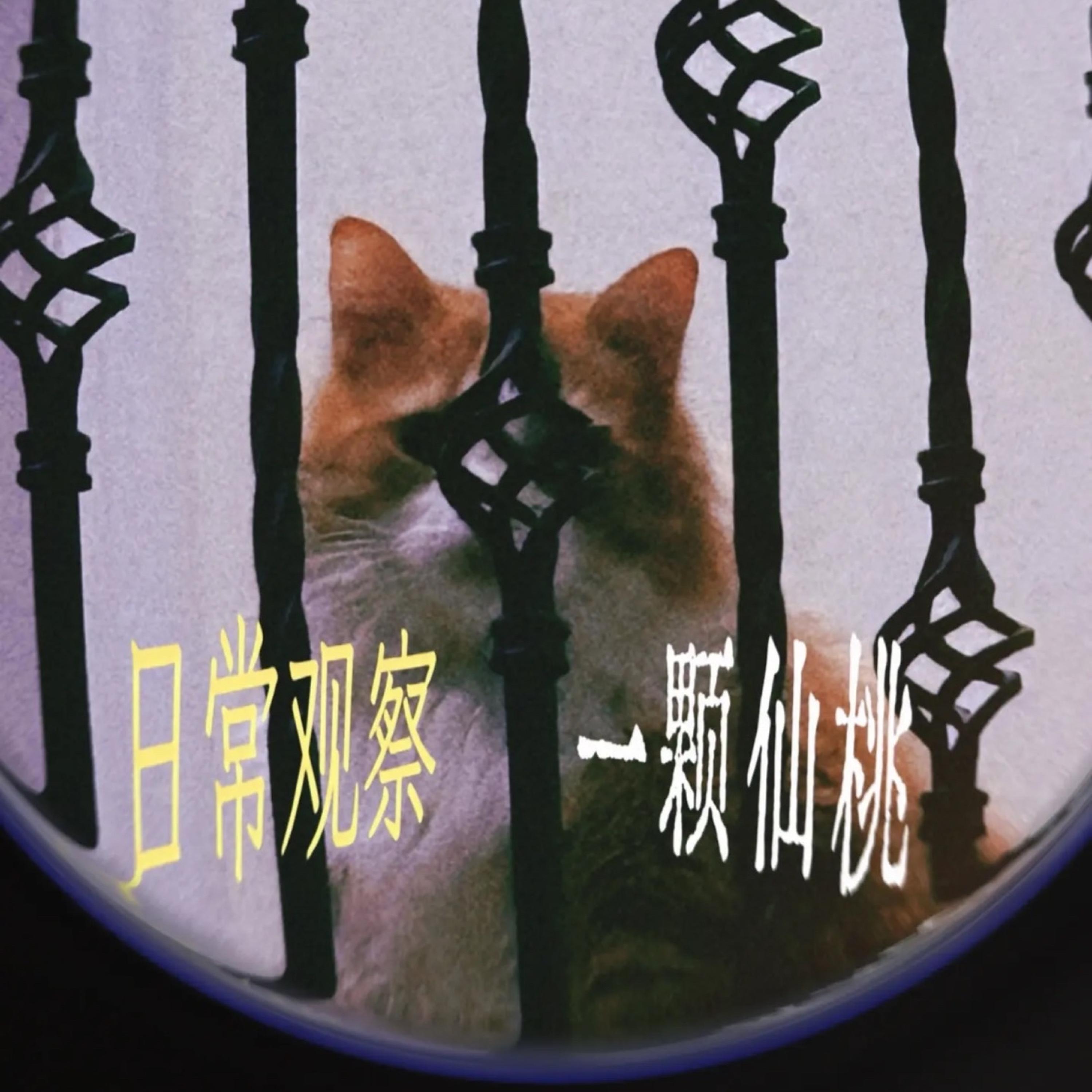 一颗仙桃