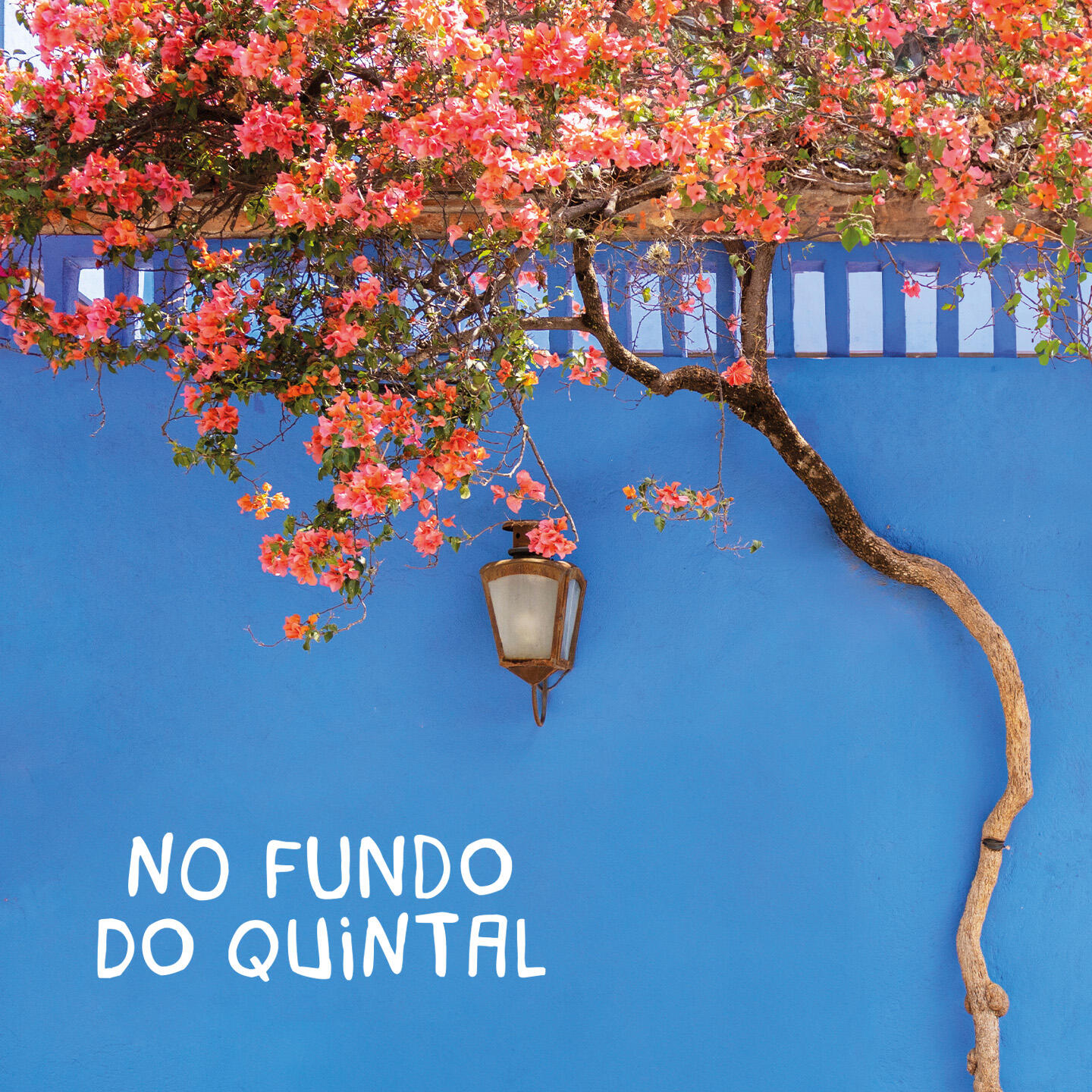 Tributo a Tia Sônia