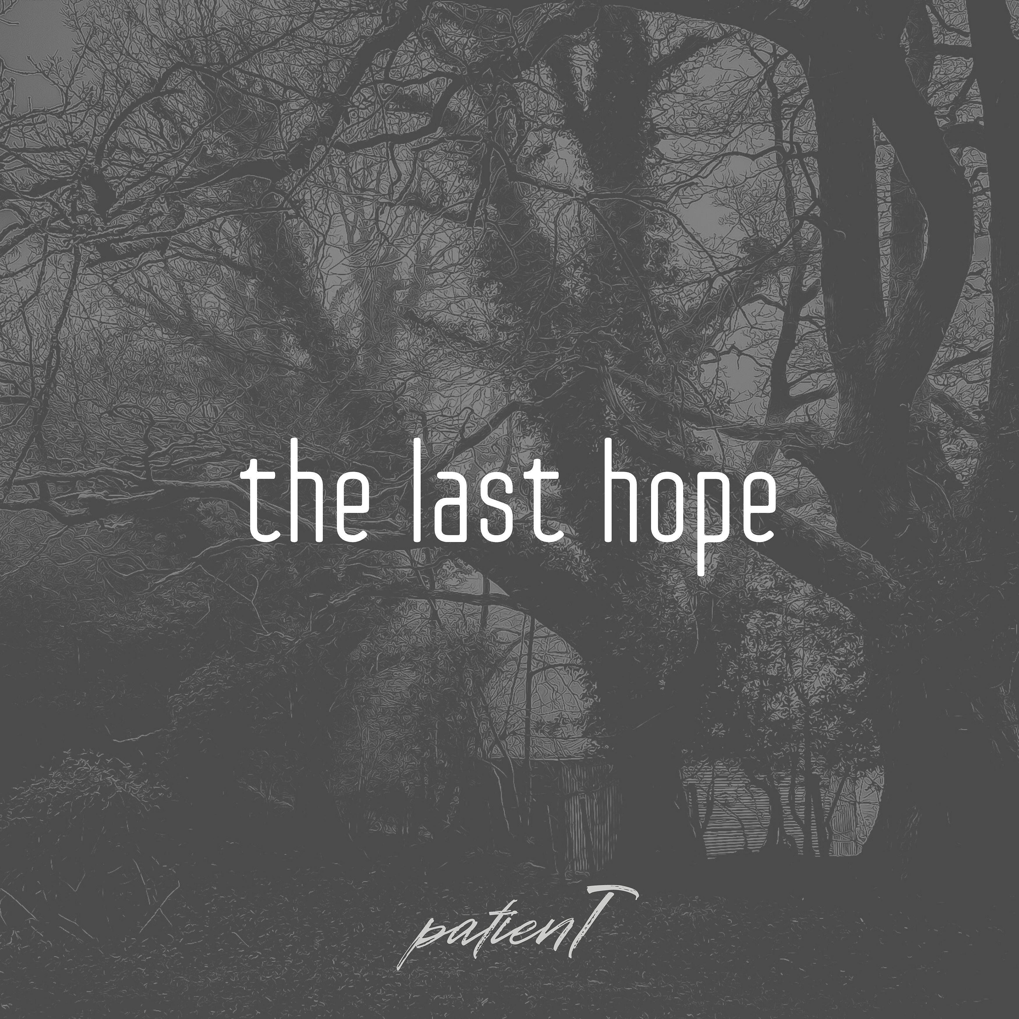 Релиз The Last Hope