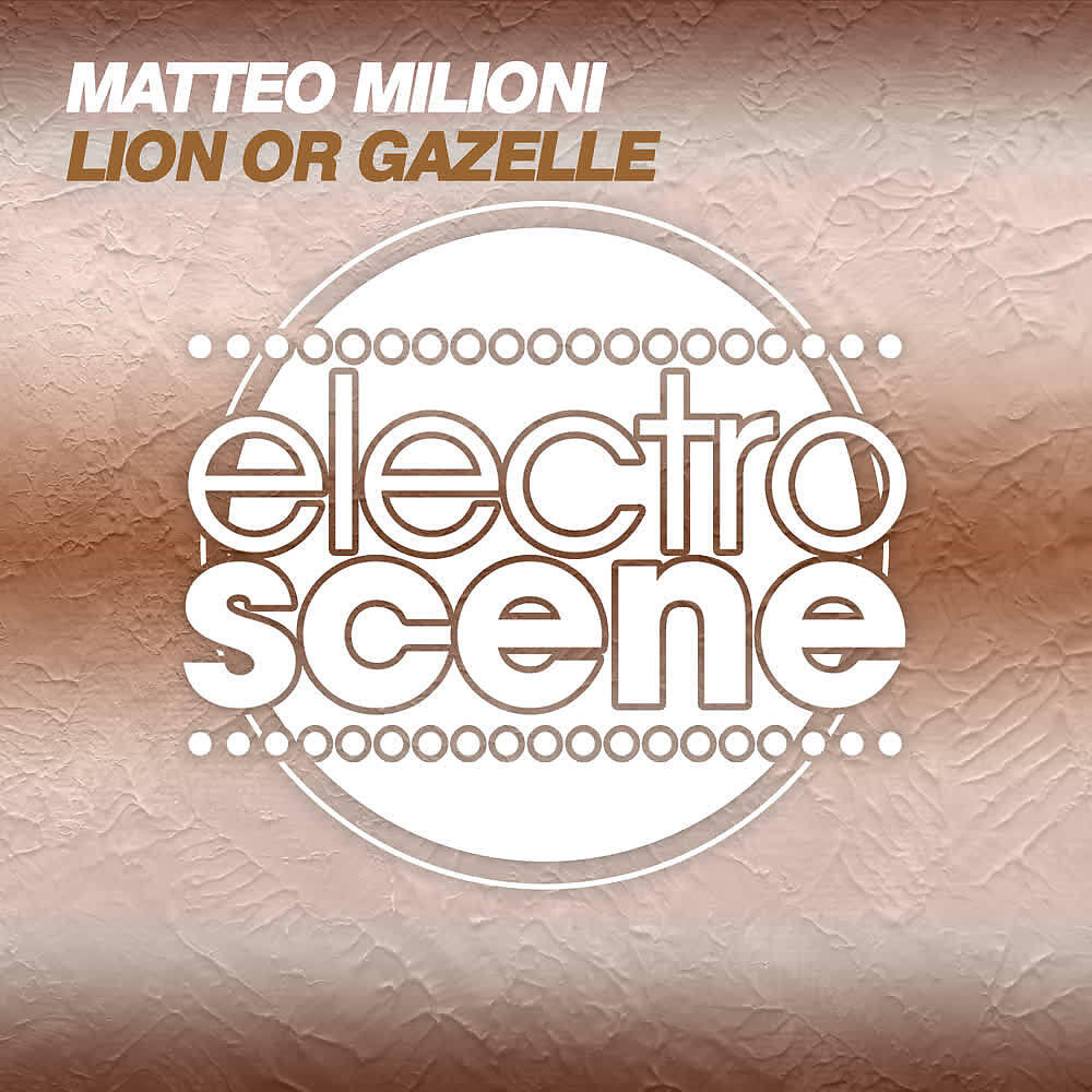 Релиз Lion or Gazelle