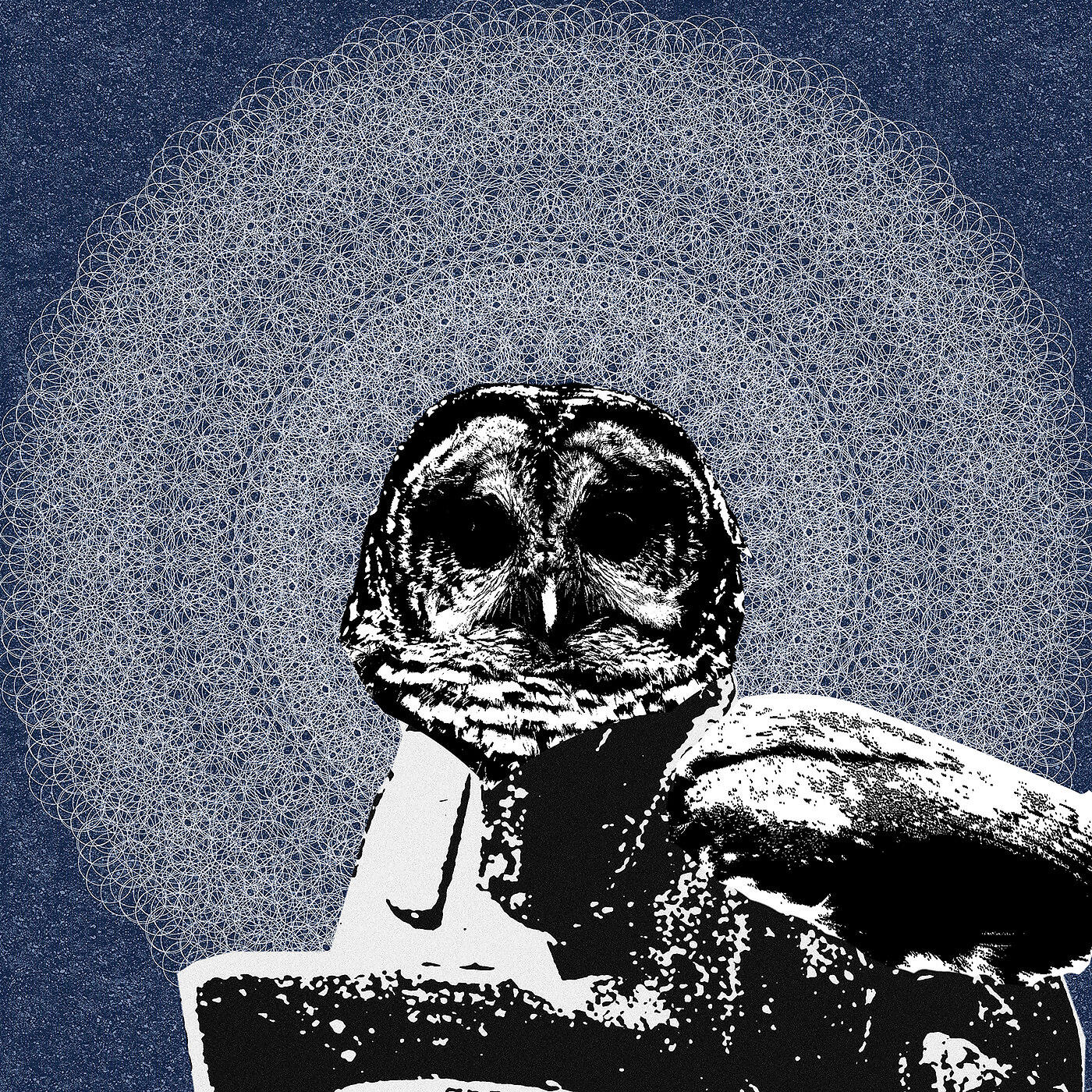 Релиз Codex Lazuli