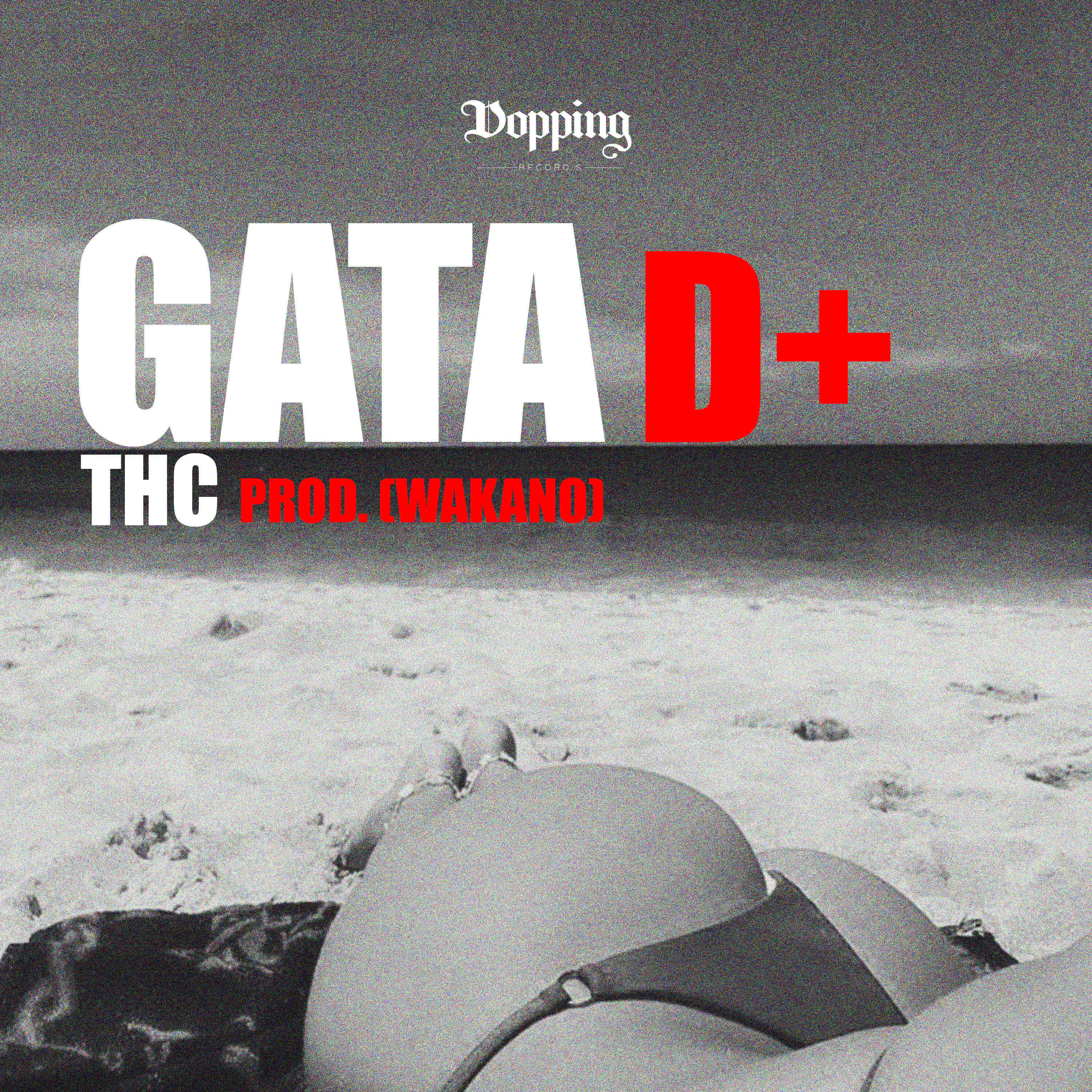 Релиз Gata D+