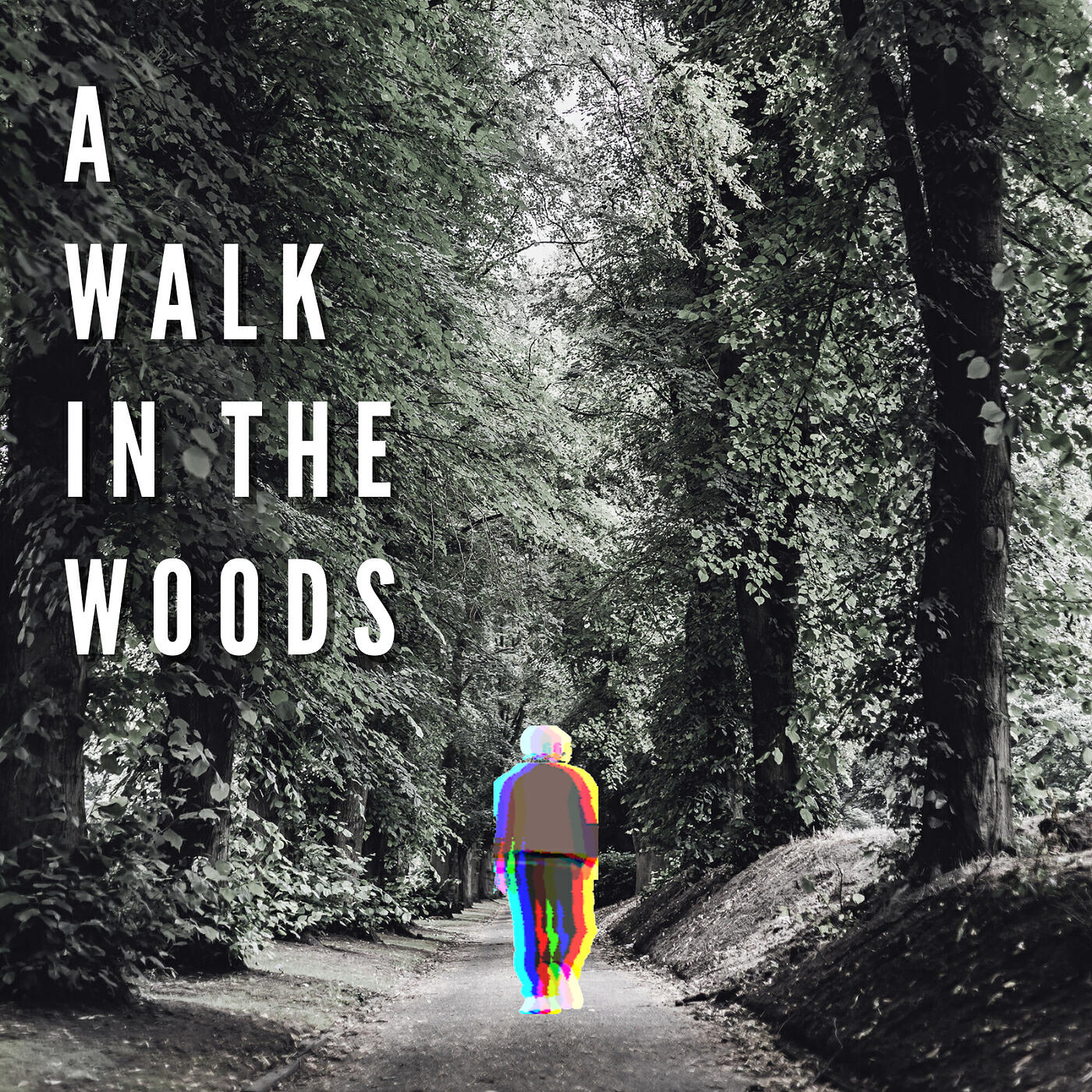 Трек A Walk in the Woods