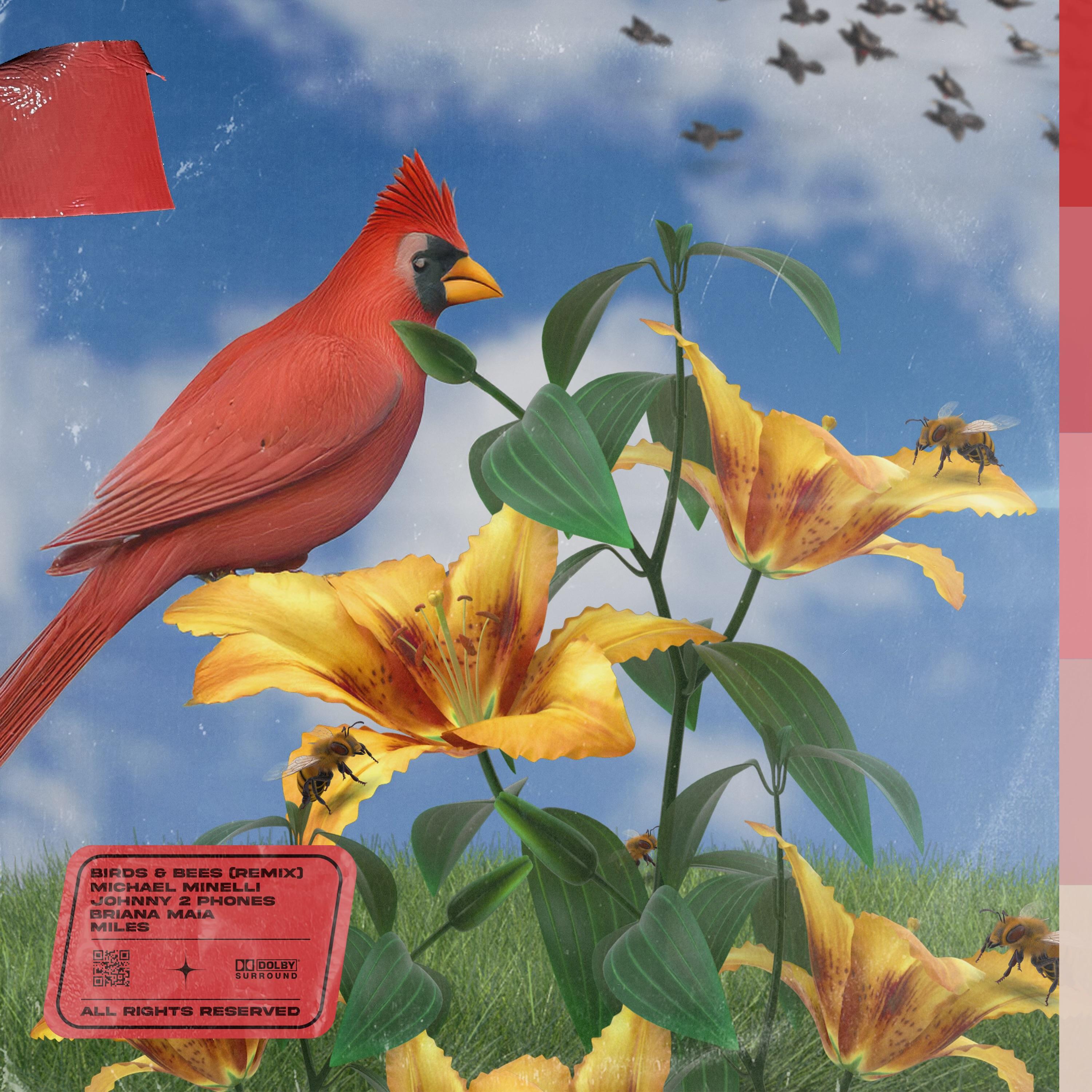 Релиз Birds & Bees (The Remixes)