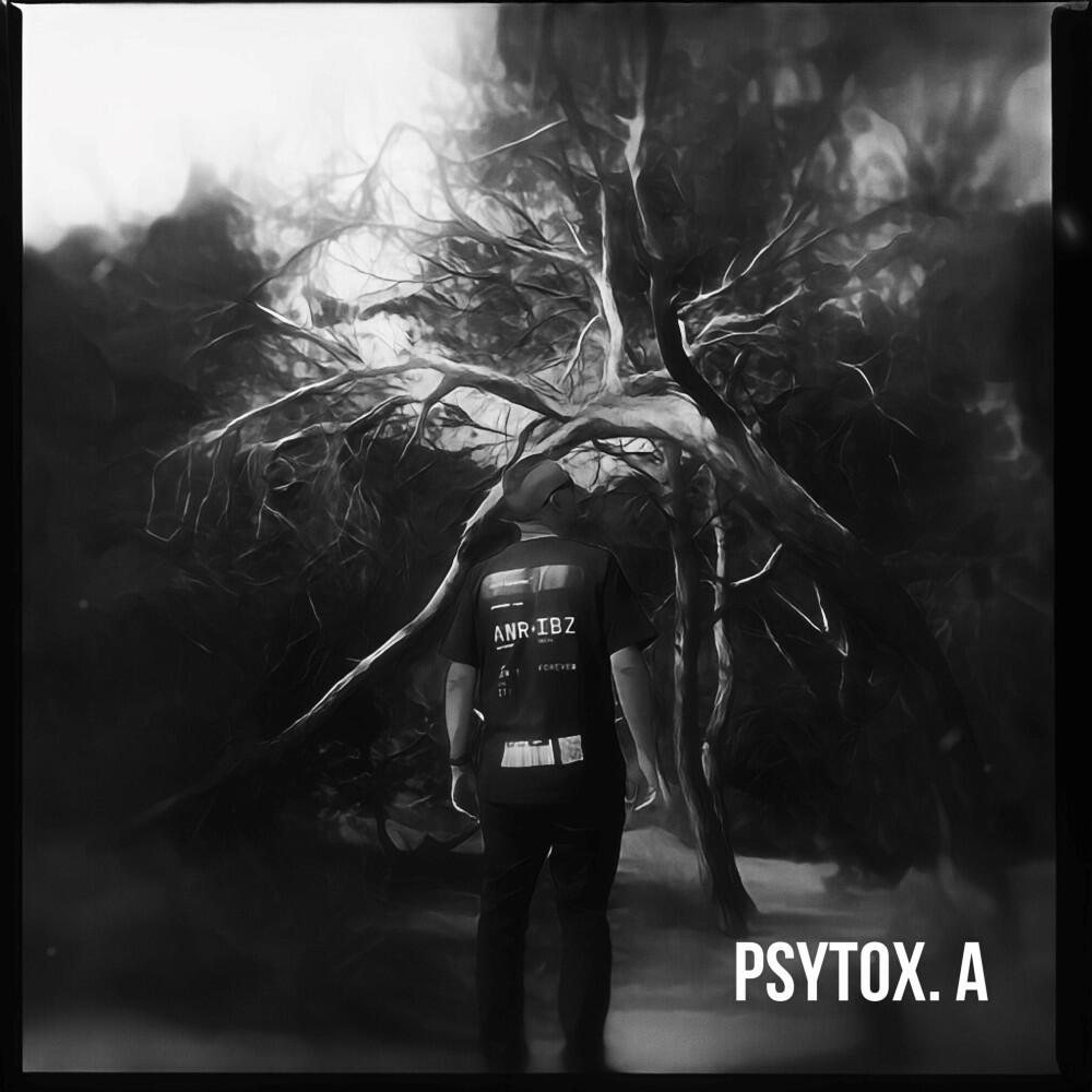 Релиз A