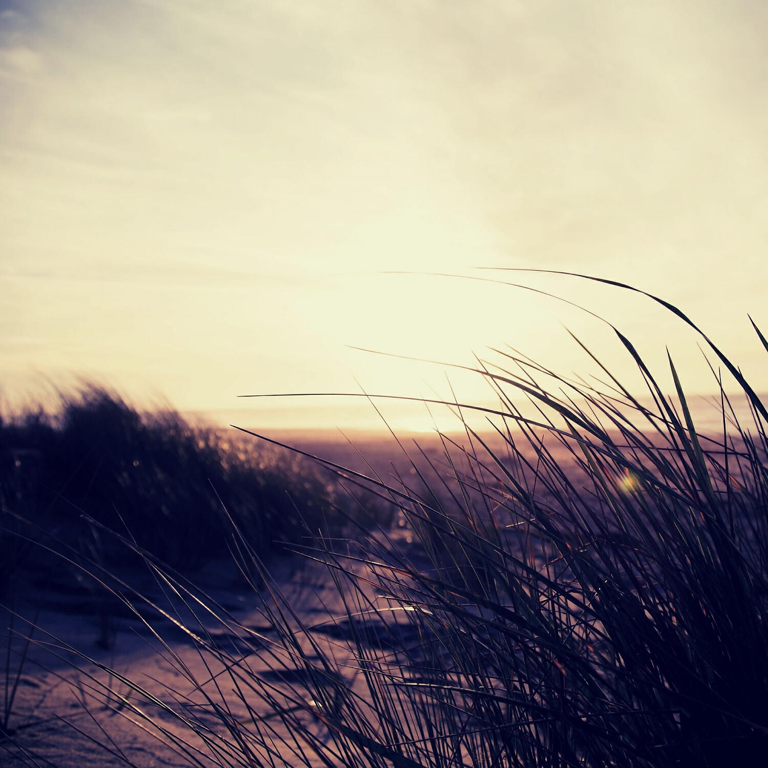 Релиз Спокойствие (Воспоминания)