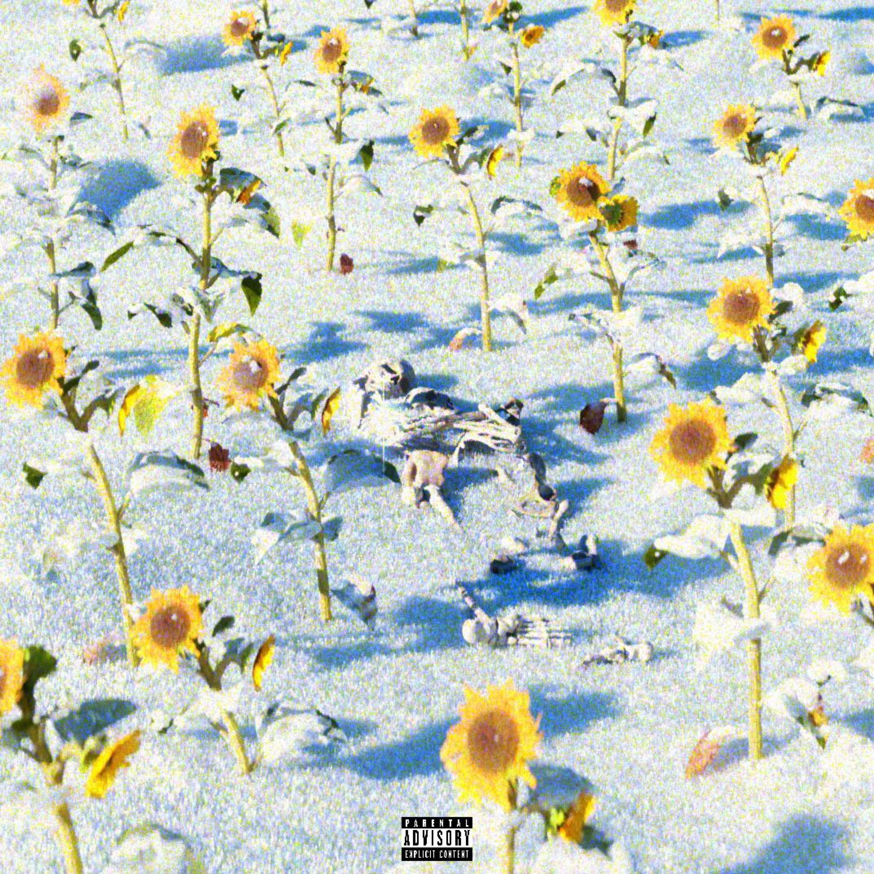 Релиз Grave of Us