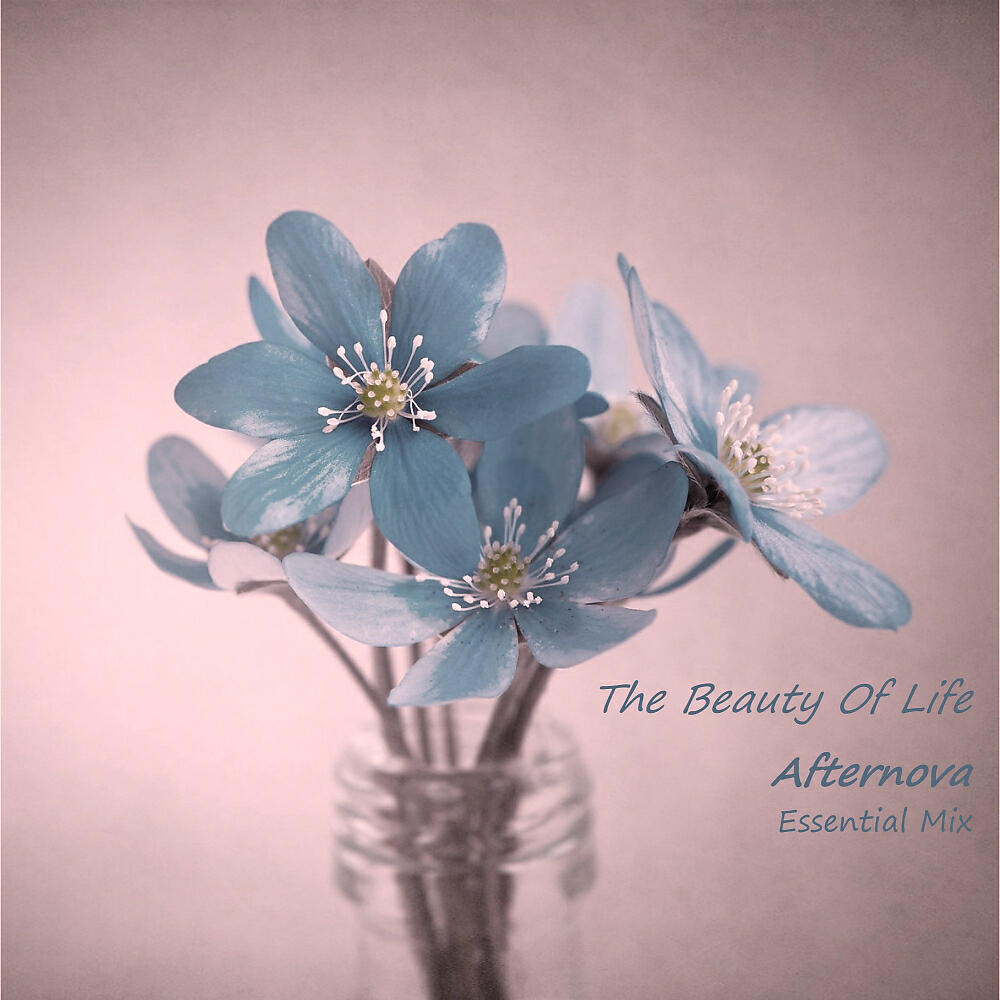 Релиз The Beauty Of Life (Essential Mix)