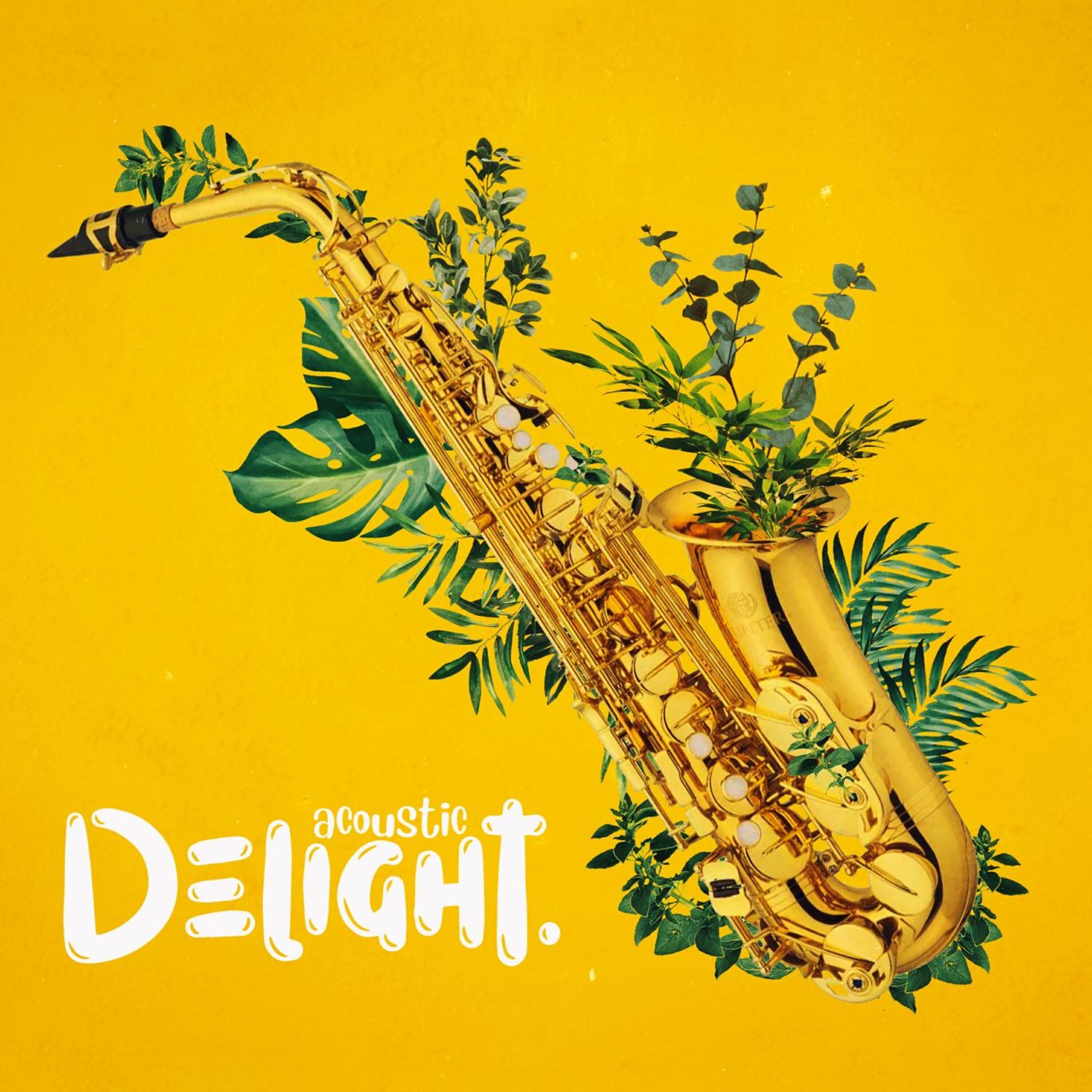 Релиз Delight