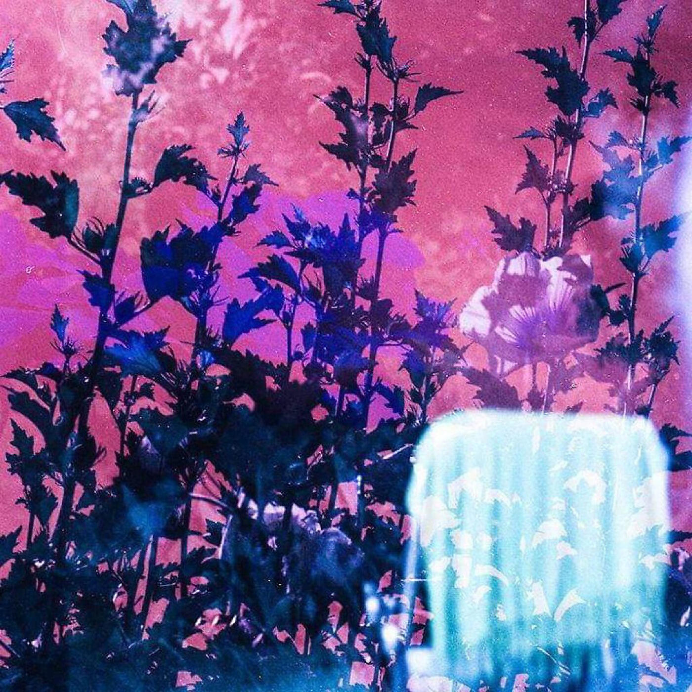 Релиз Dead Weight
