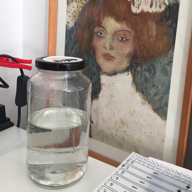 Релиз Svartfugl