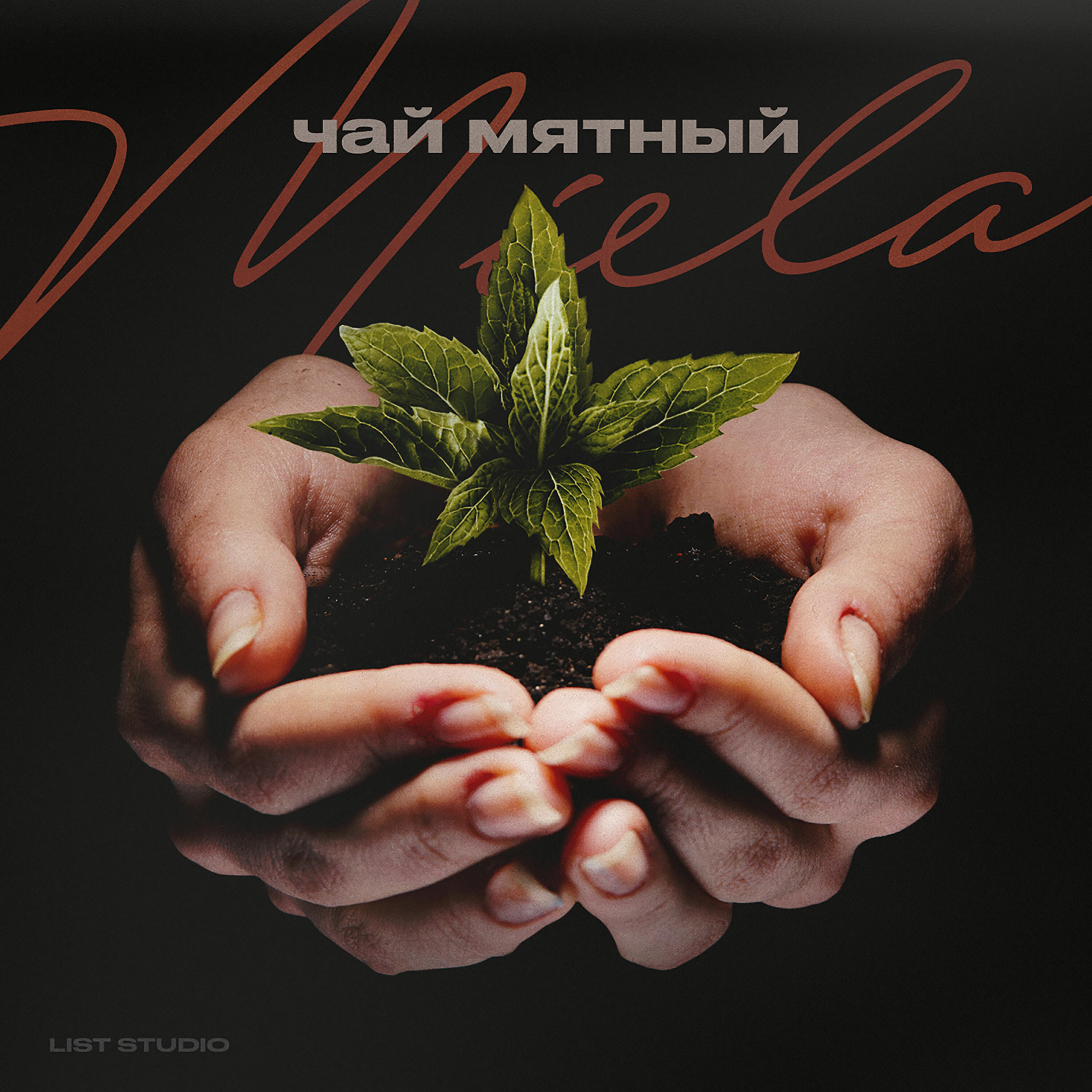 Релиз Чай мятный